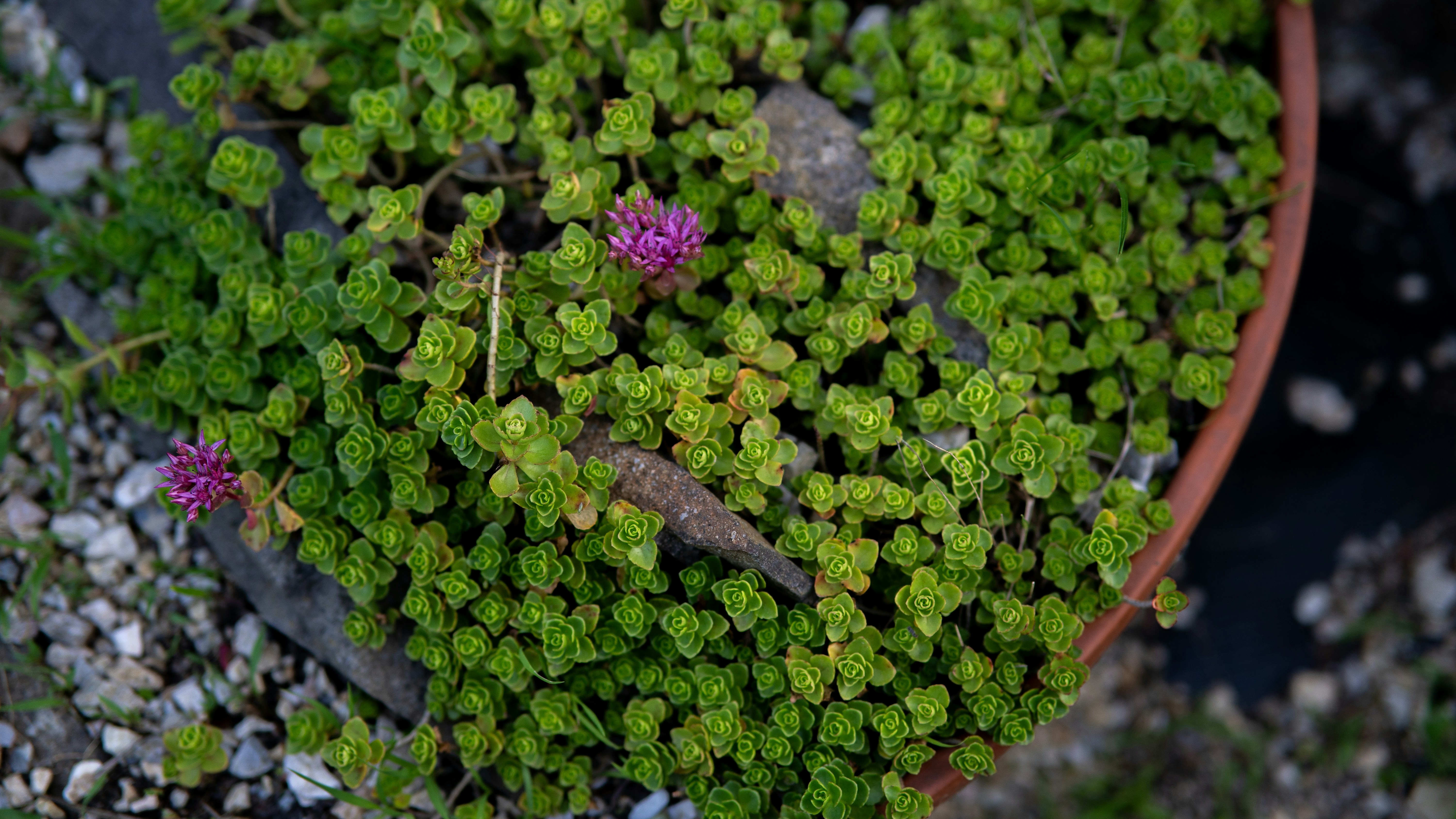 Photo by eugenechystiakov