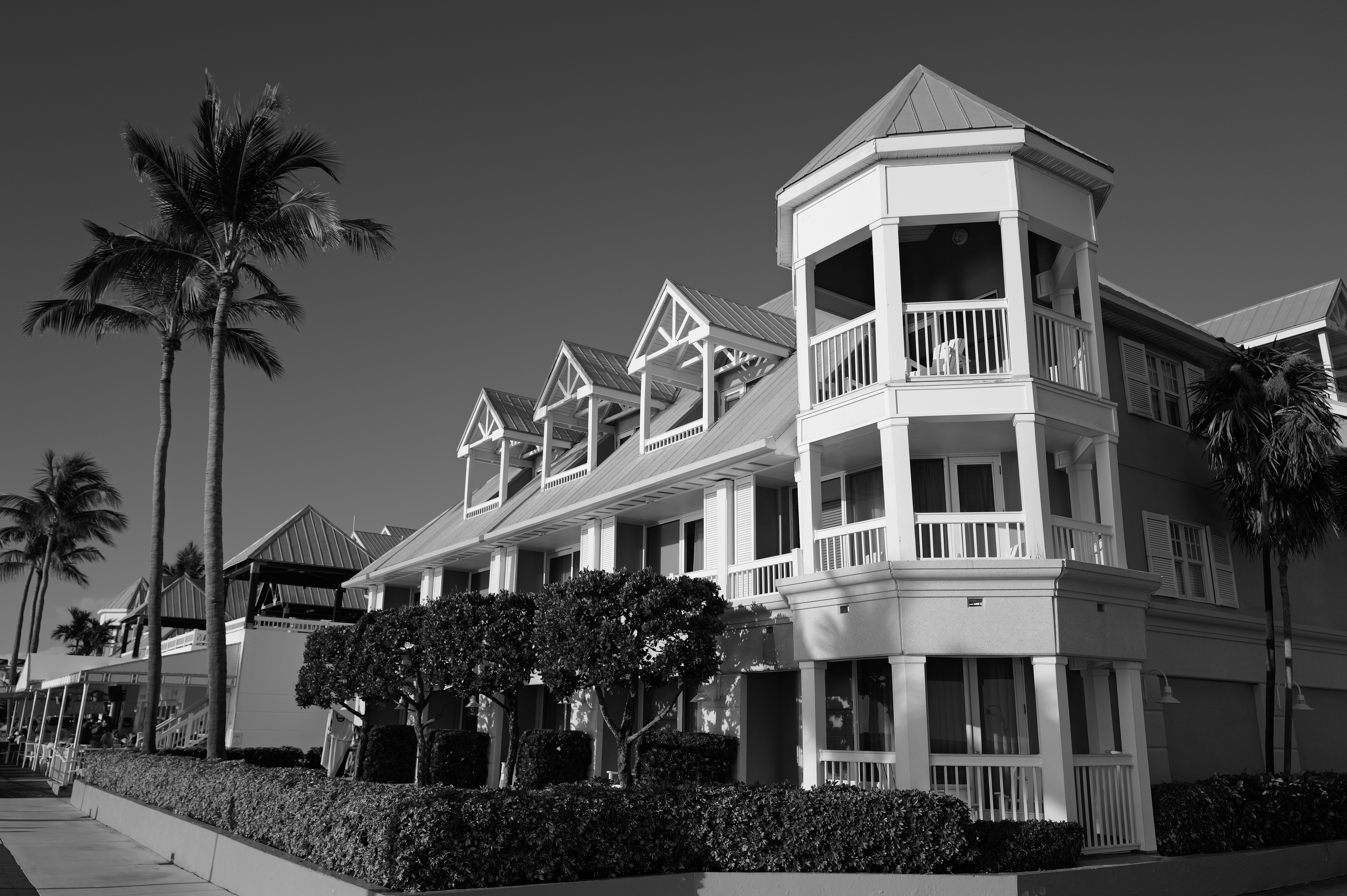 Photo by thephotochad