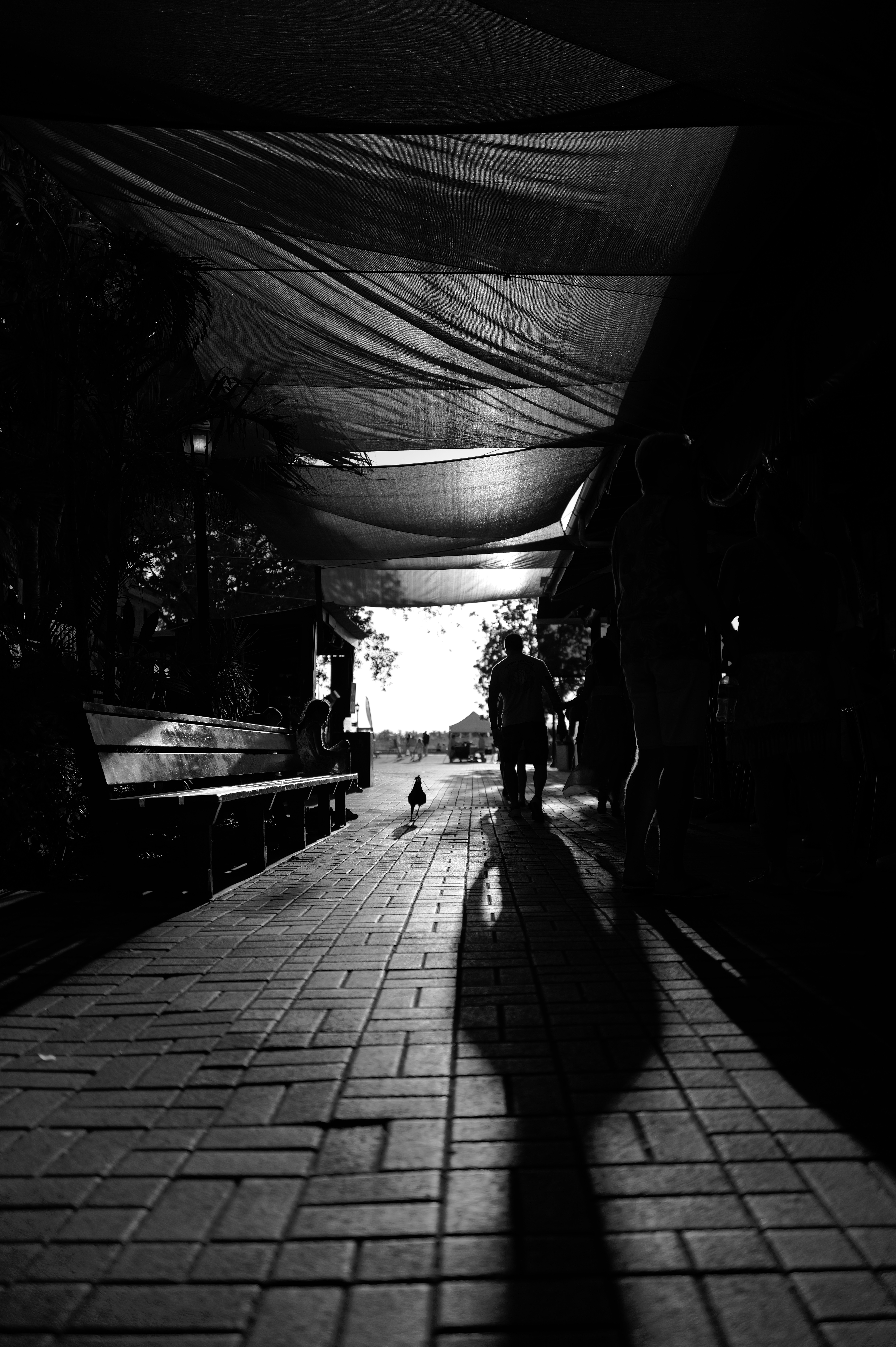 Photo by thephotochad