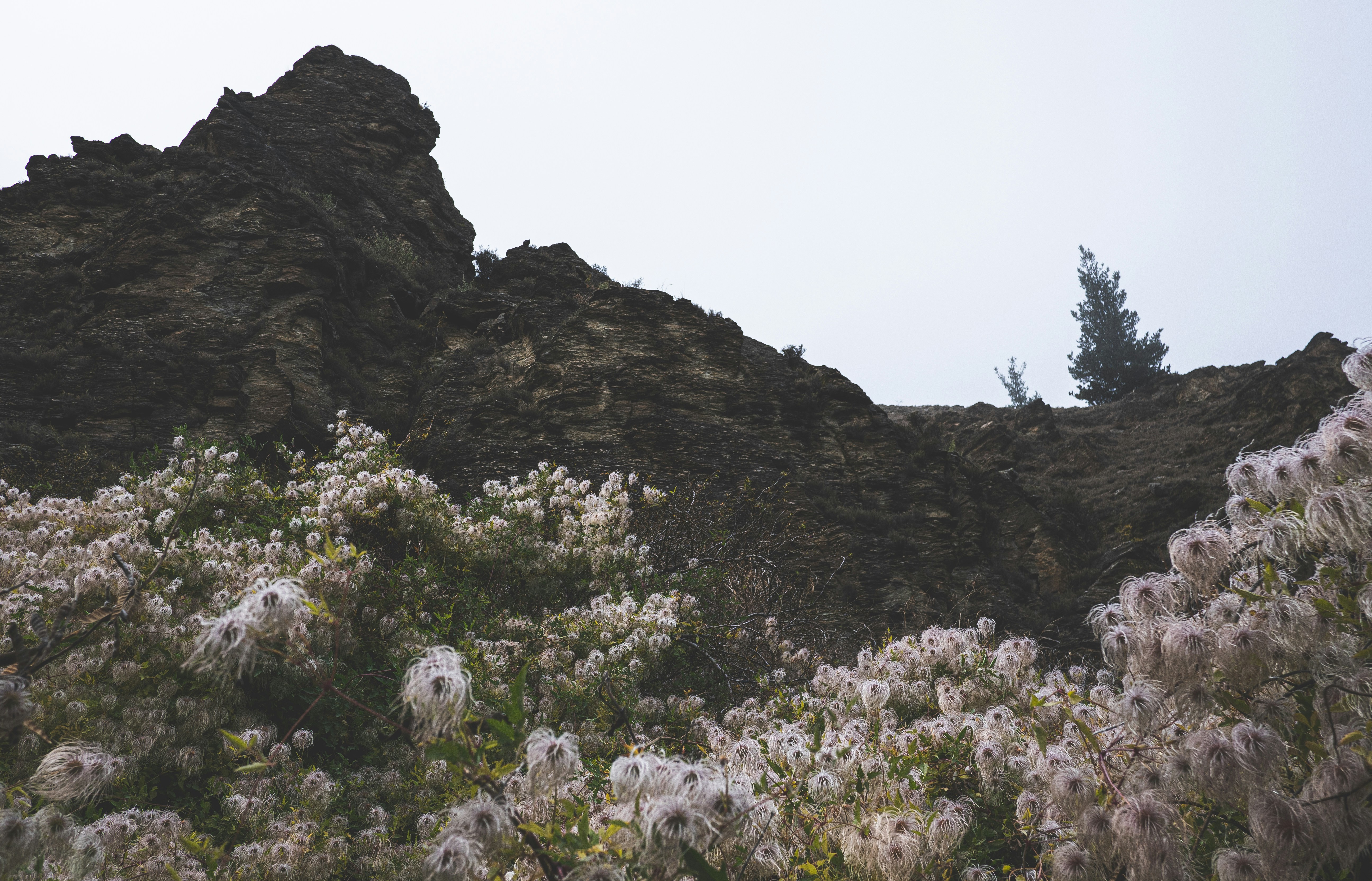 Photo by tototosia