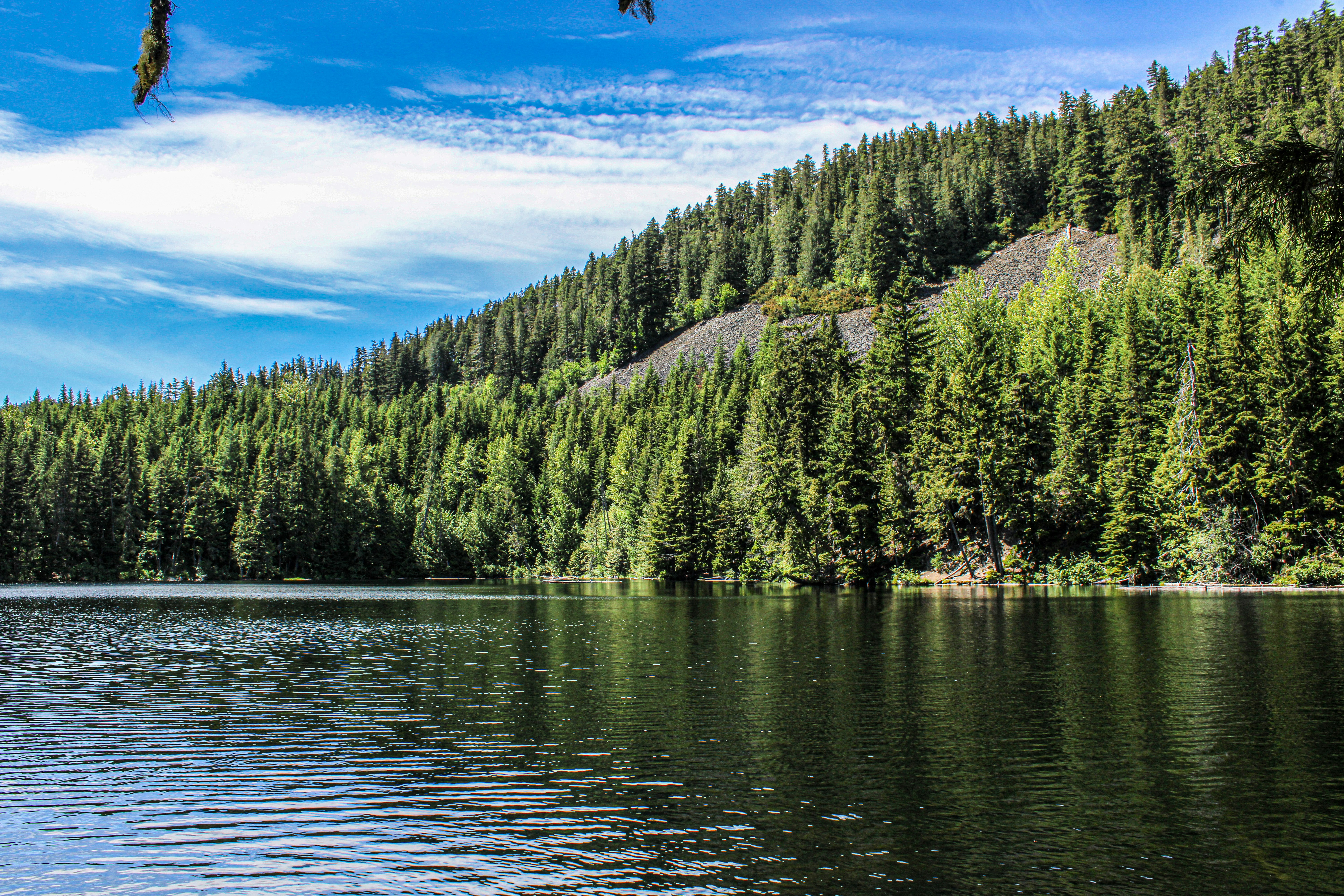 Photo by prphotography262