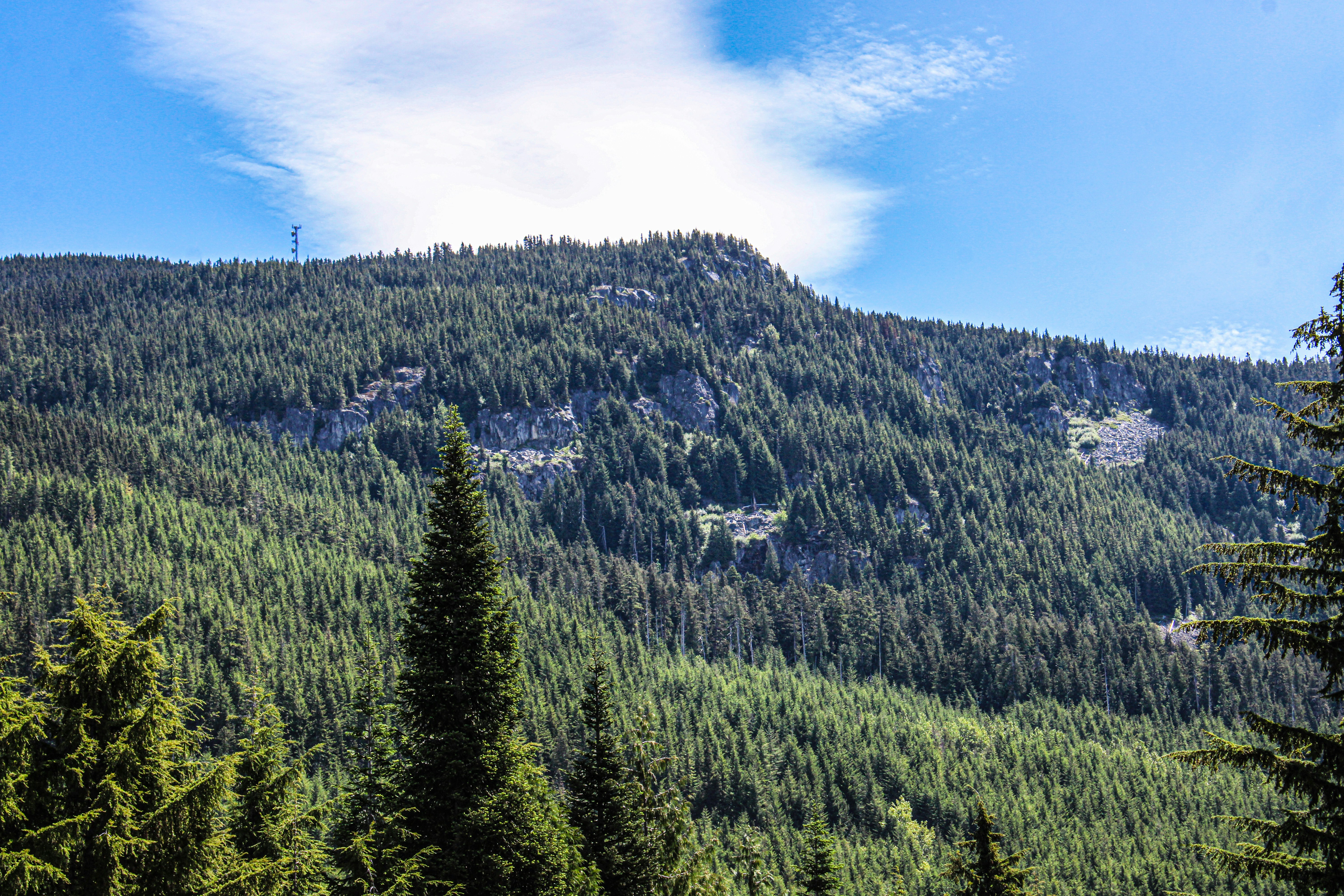 Photo by prphotography262