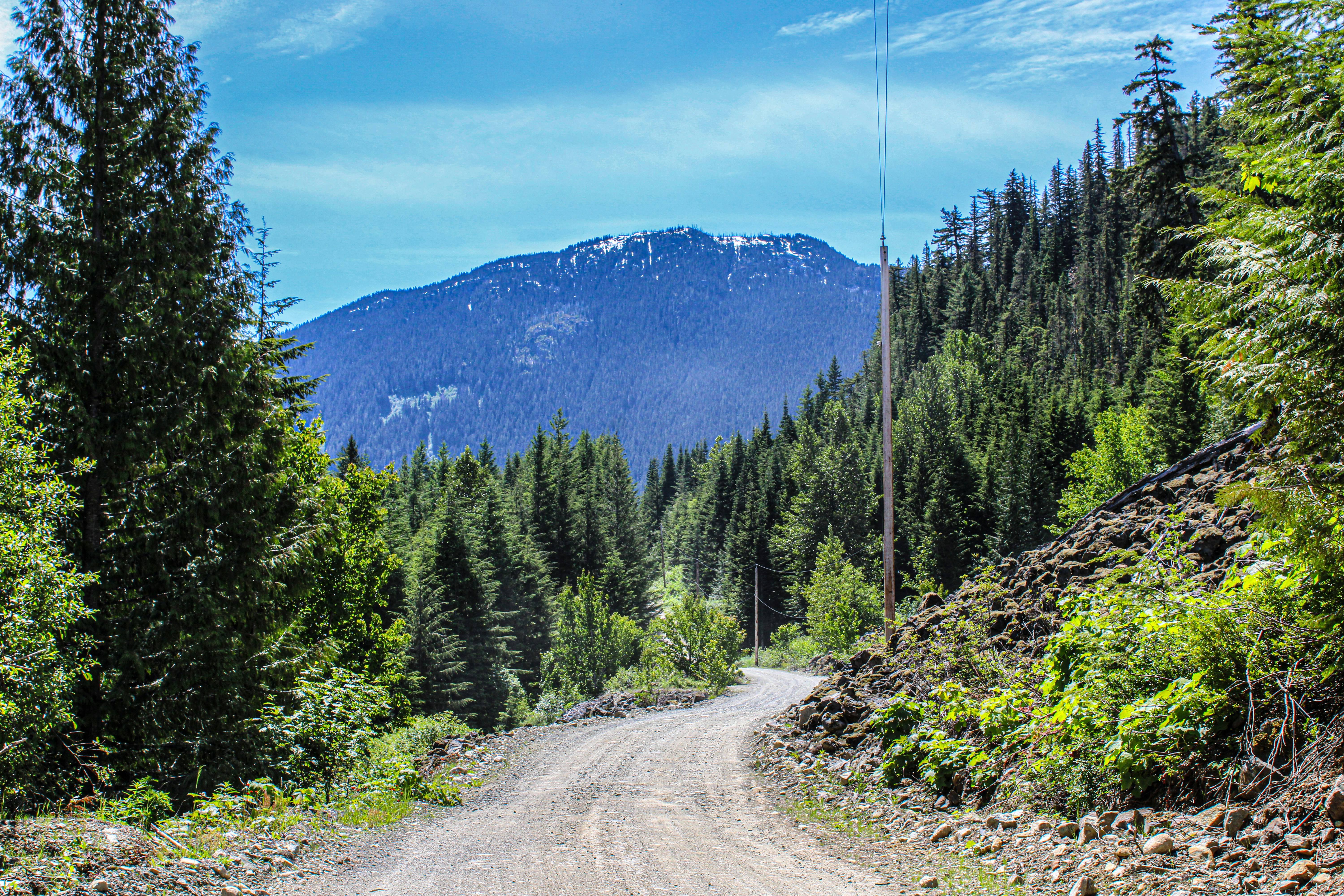 Photo by prphotography262