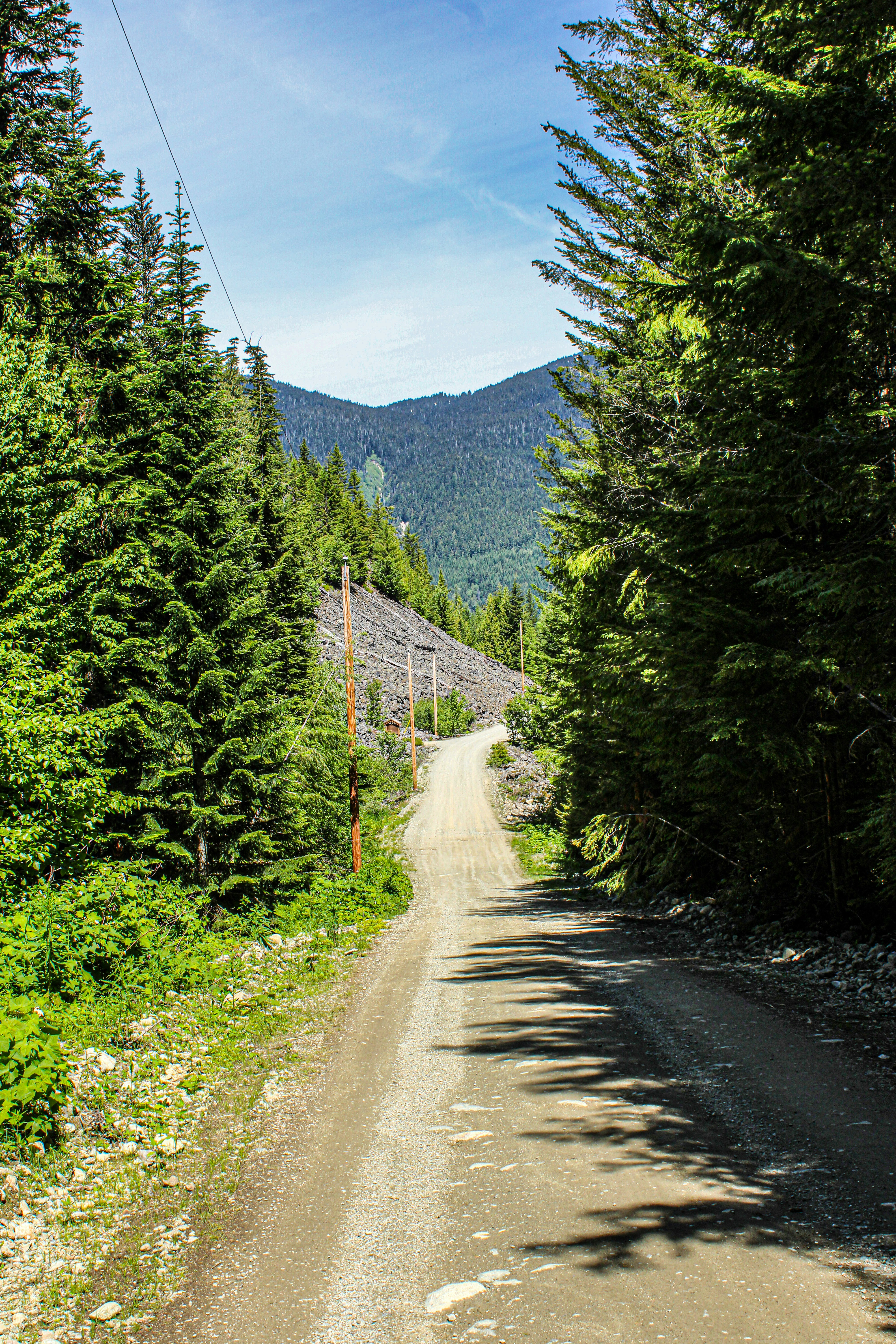 Photo by prphotography262