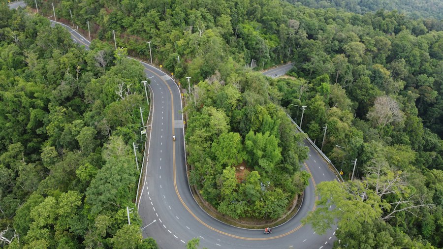Winding mountain road through trees near Chiang Mai