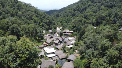 An aerial view of a village in the middle of a forest