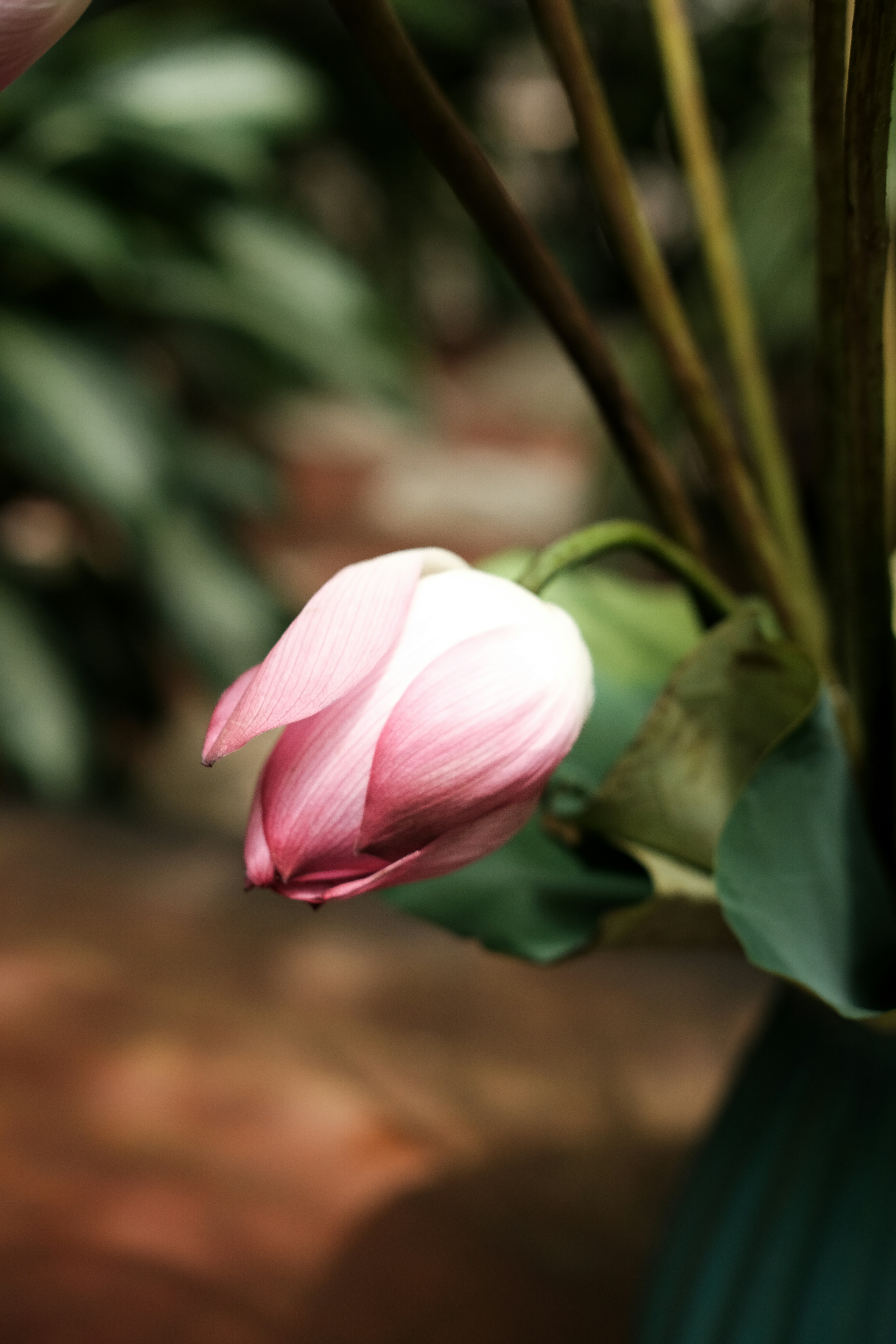 Photo by nganduong93