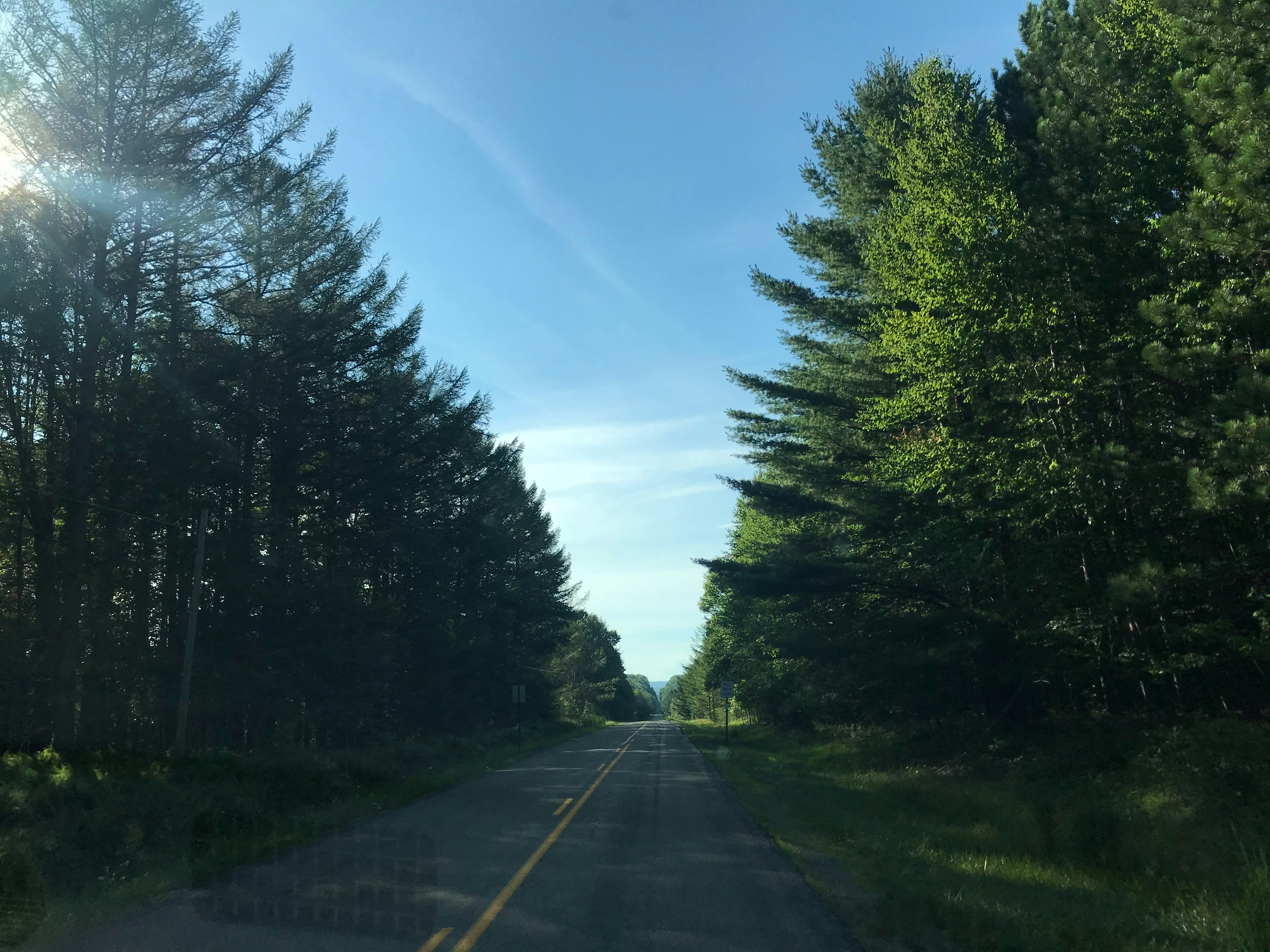 The sun shines brightly through the trees on the side of the road