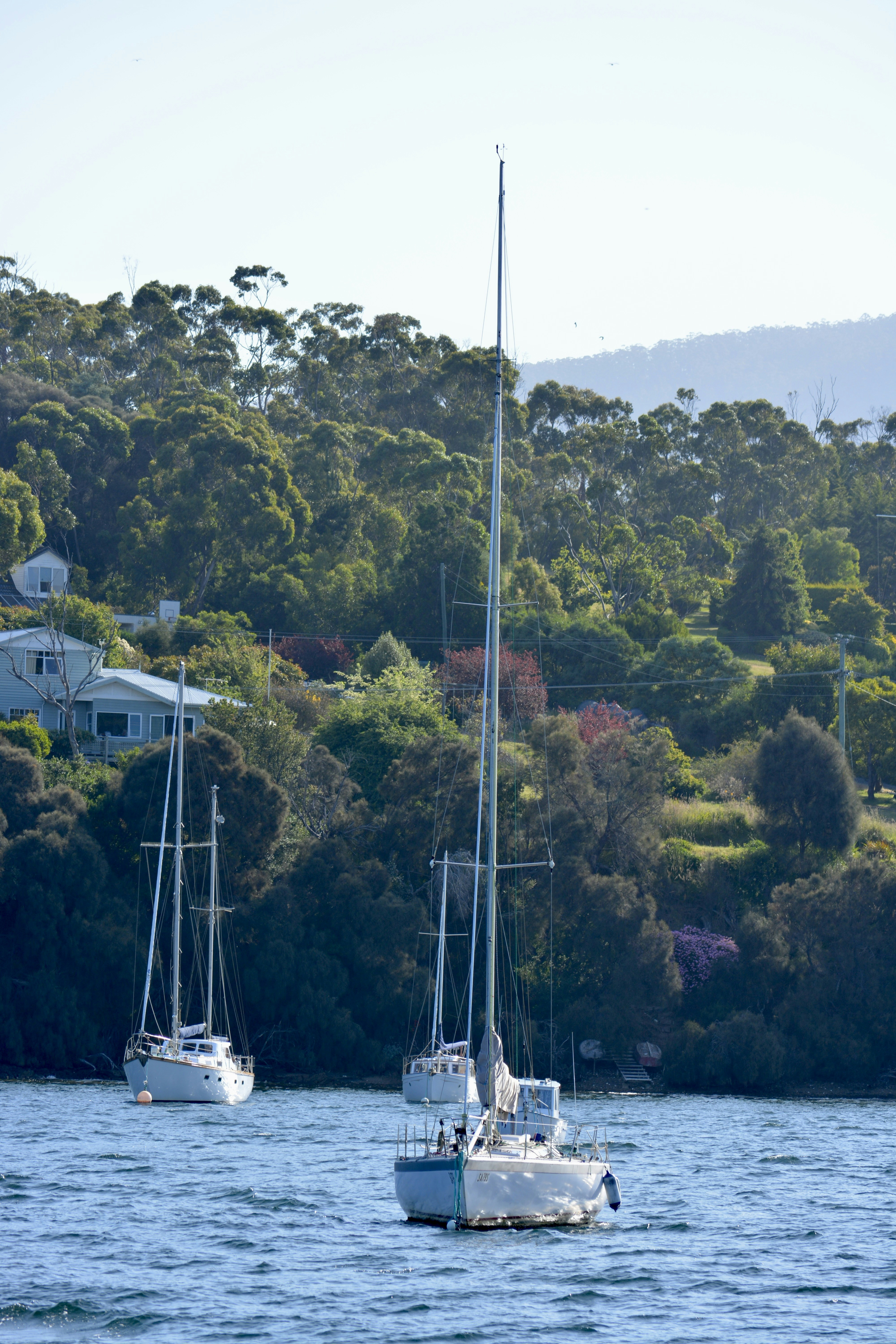 Photo by kshithijchandrashekar