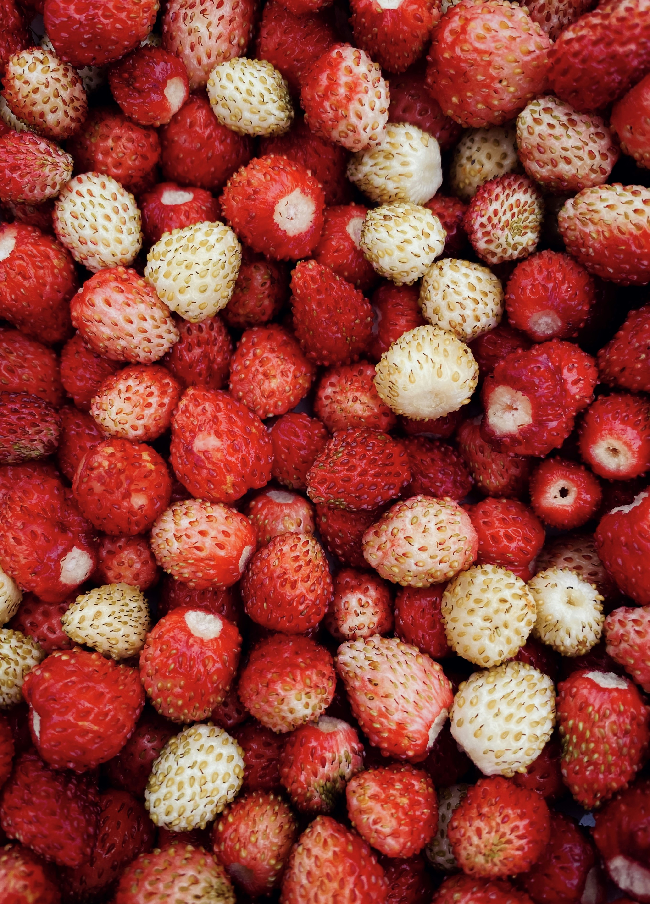 A close up of strawberries in a bowl