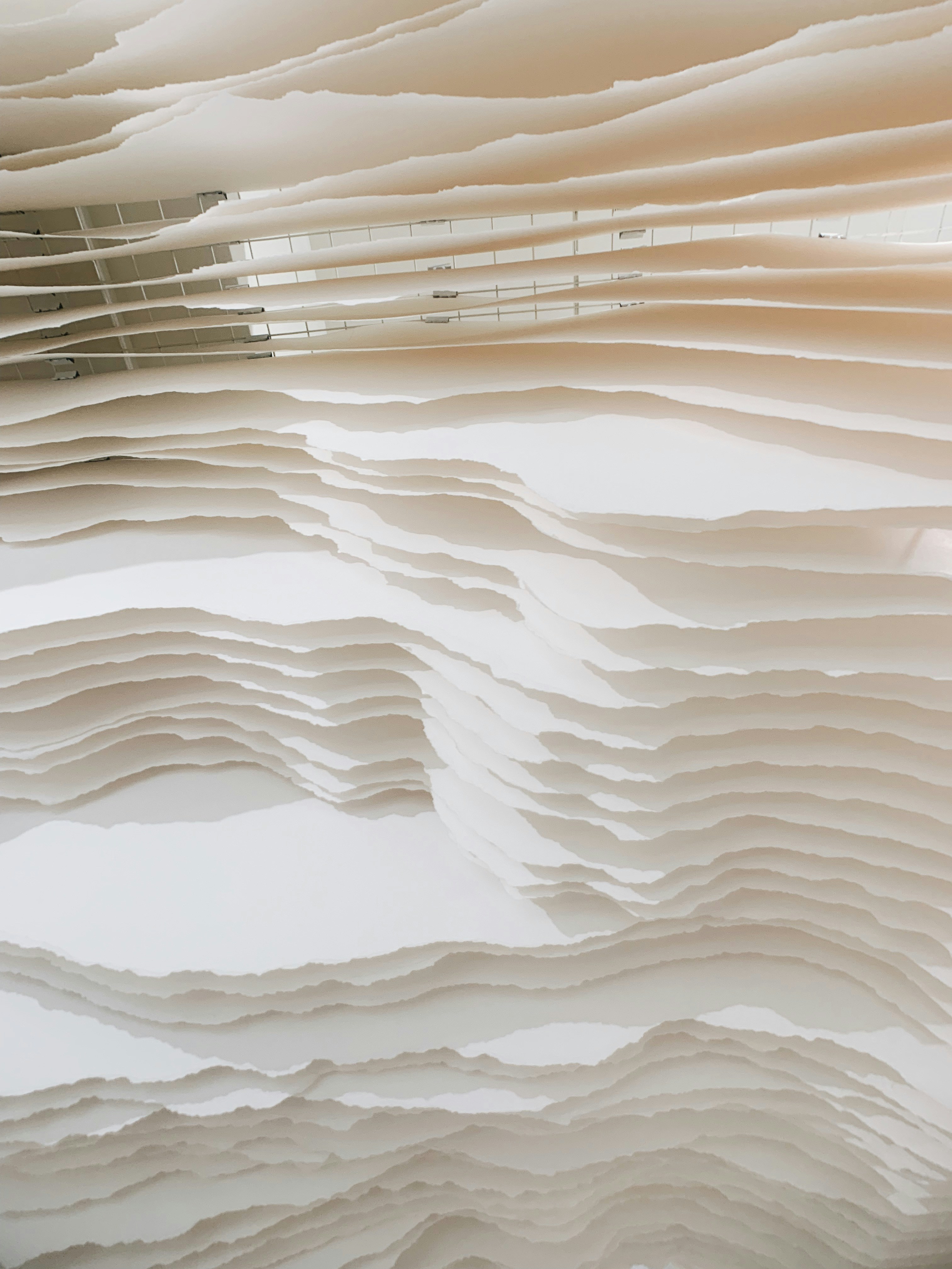 Photo by subspace_stills