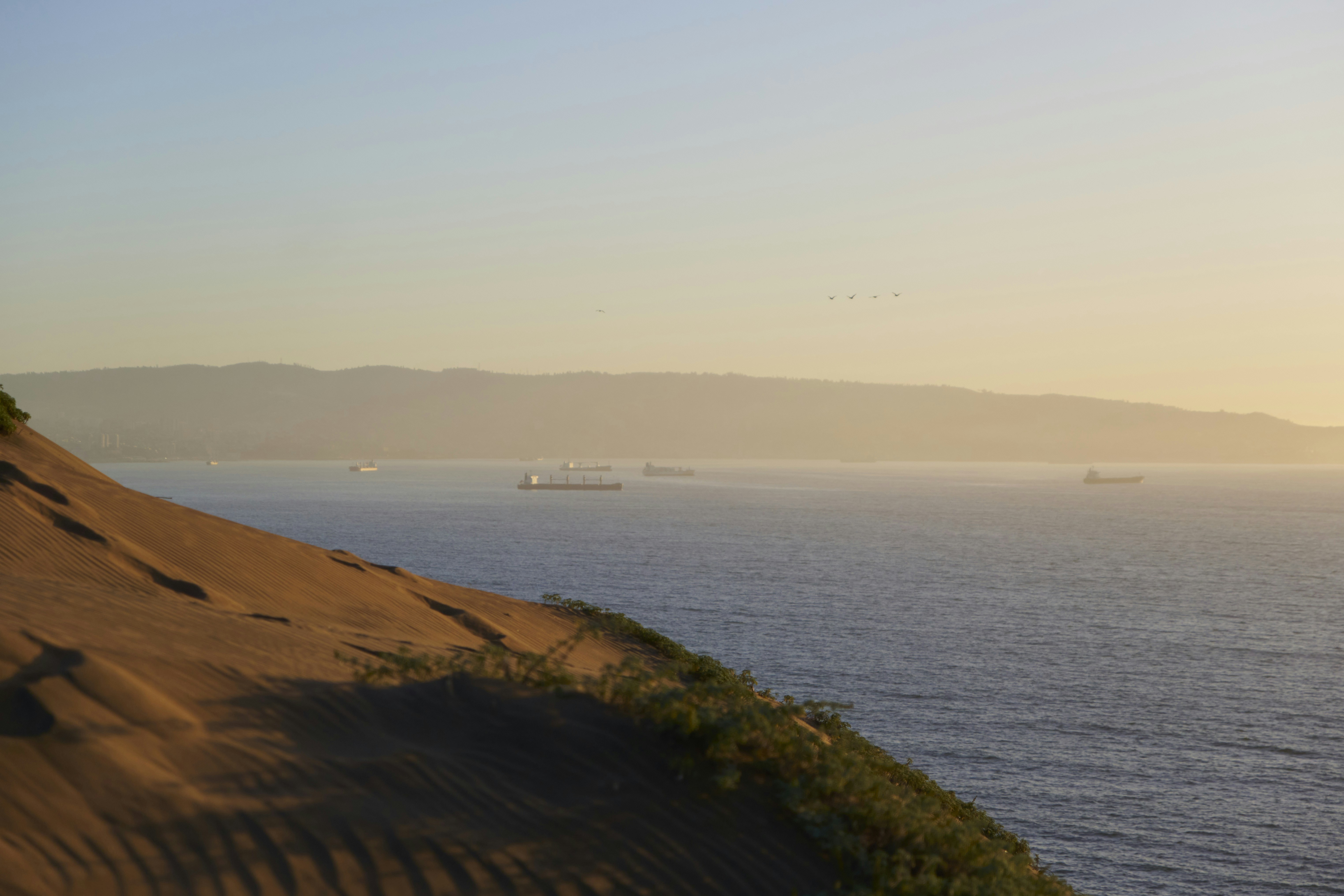 A view of the ocean from the top of a hill