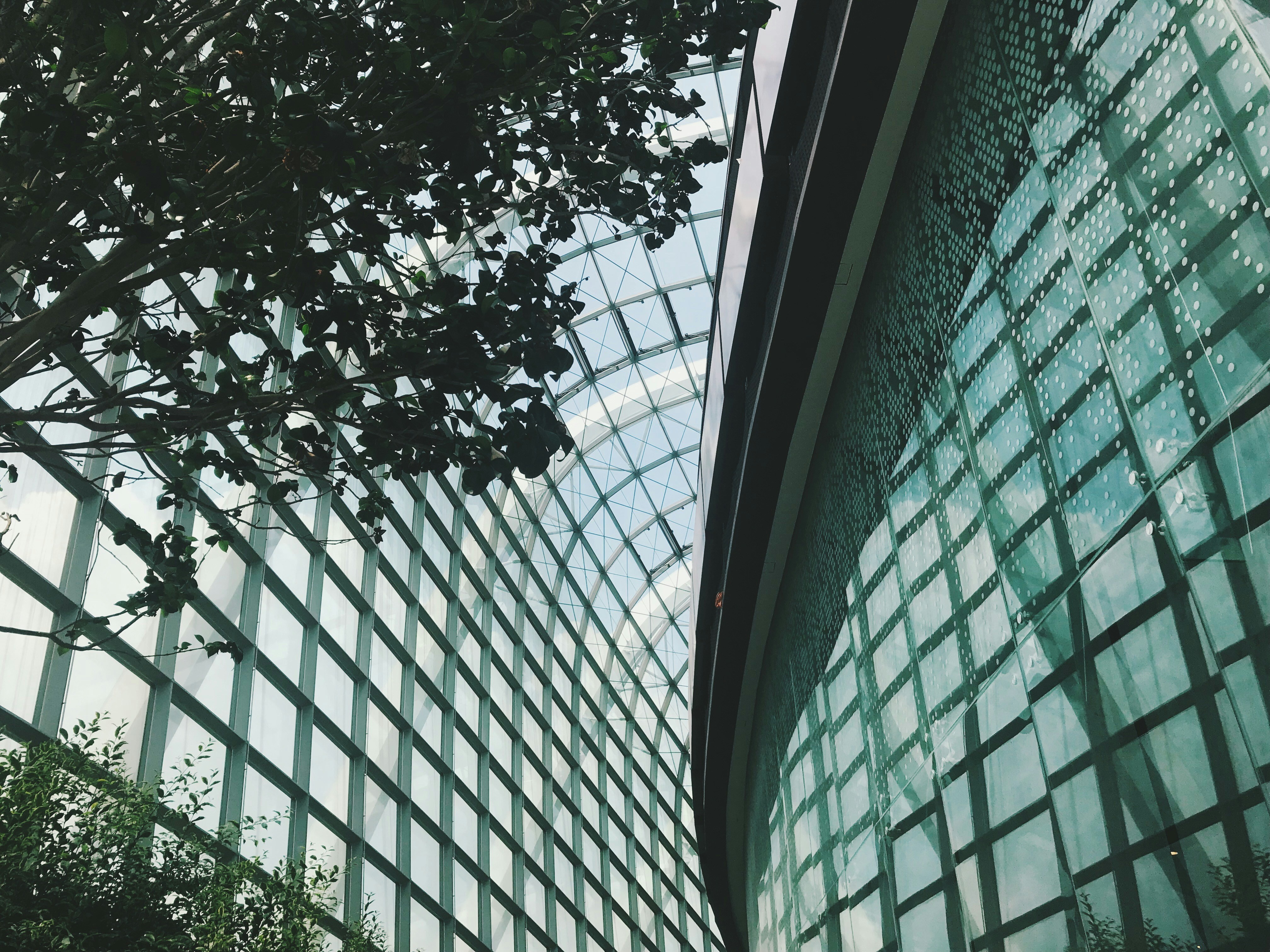 Photo by subspace_stills