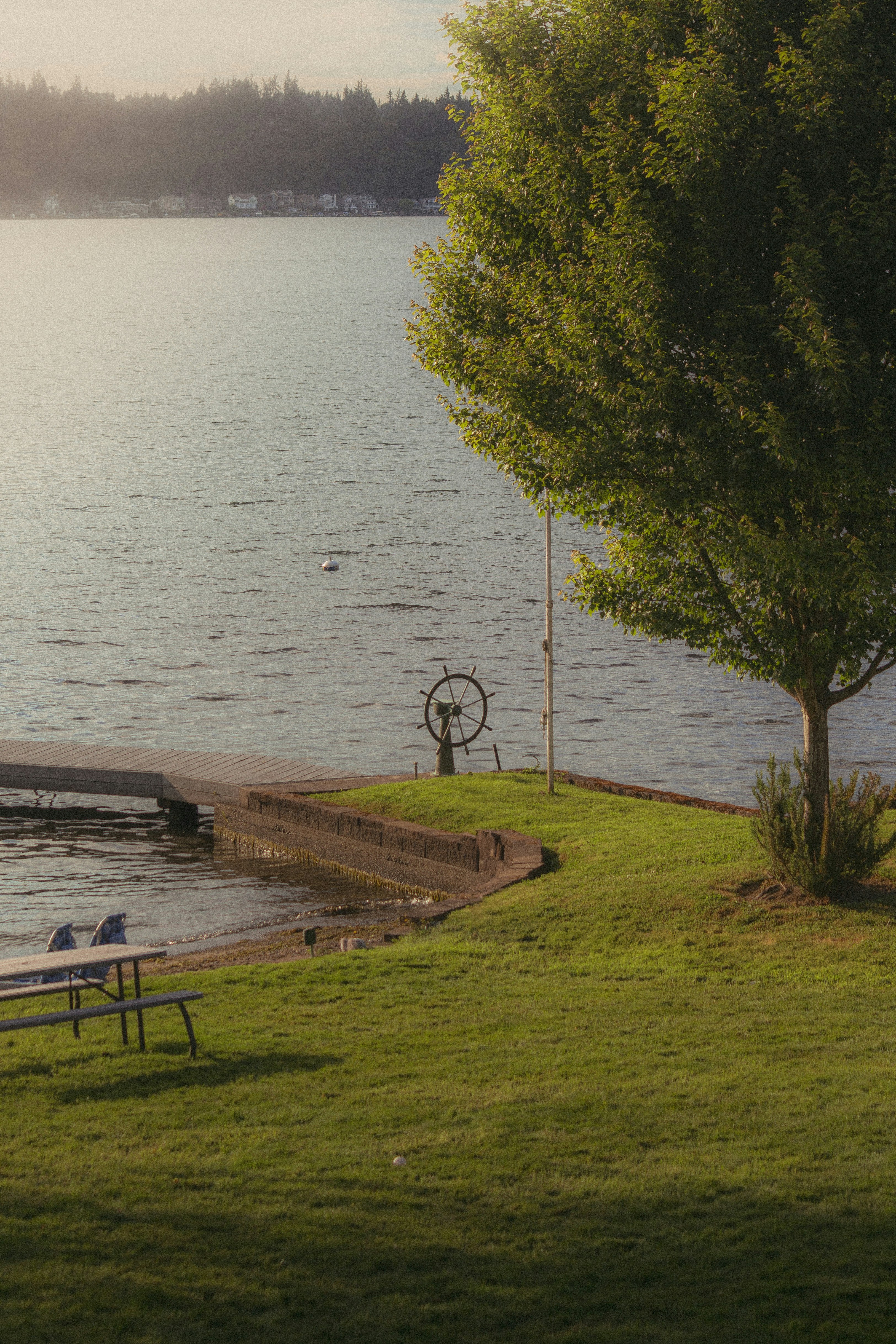 A bench sitting on top of a lush green field next to a lake