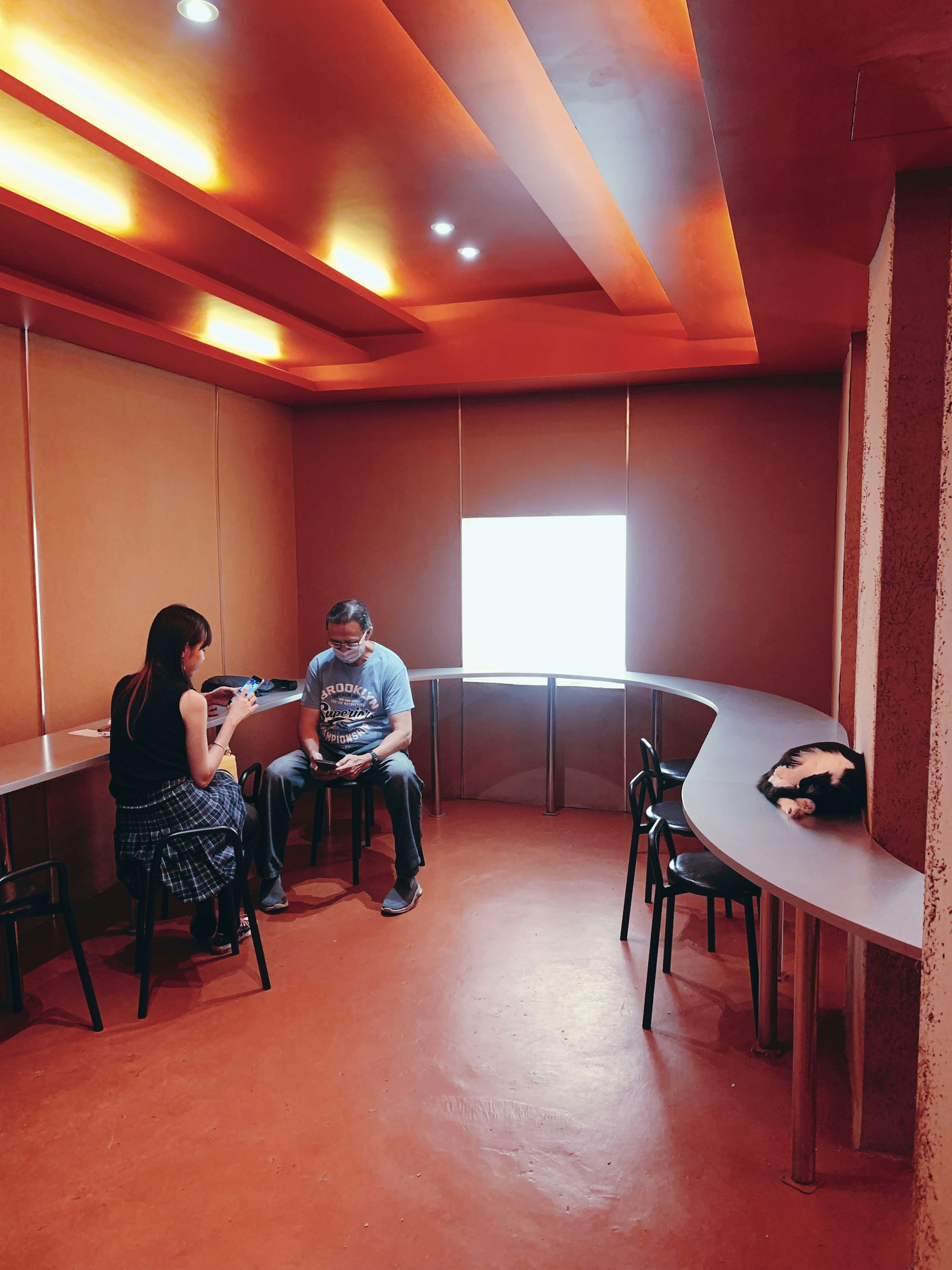 Interior Design Consultation