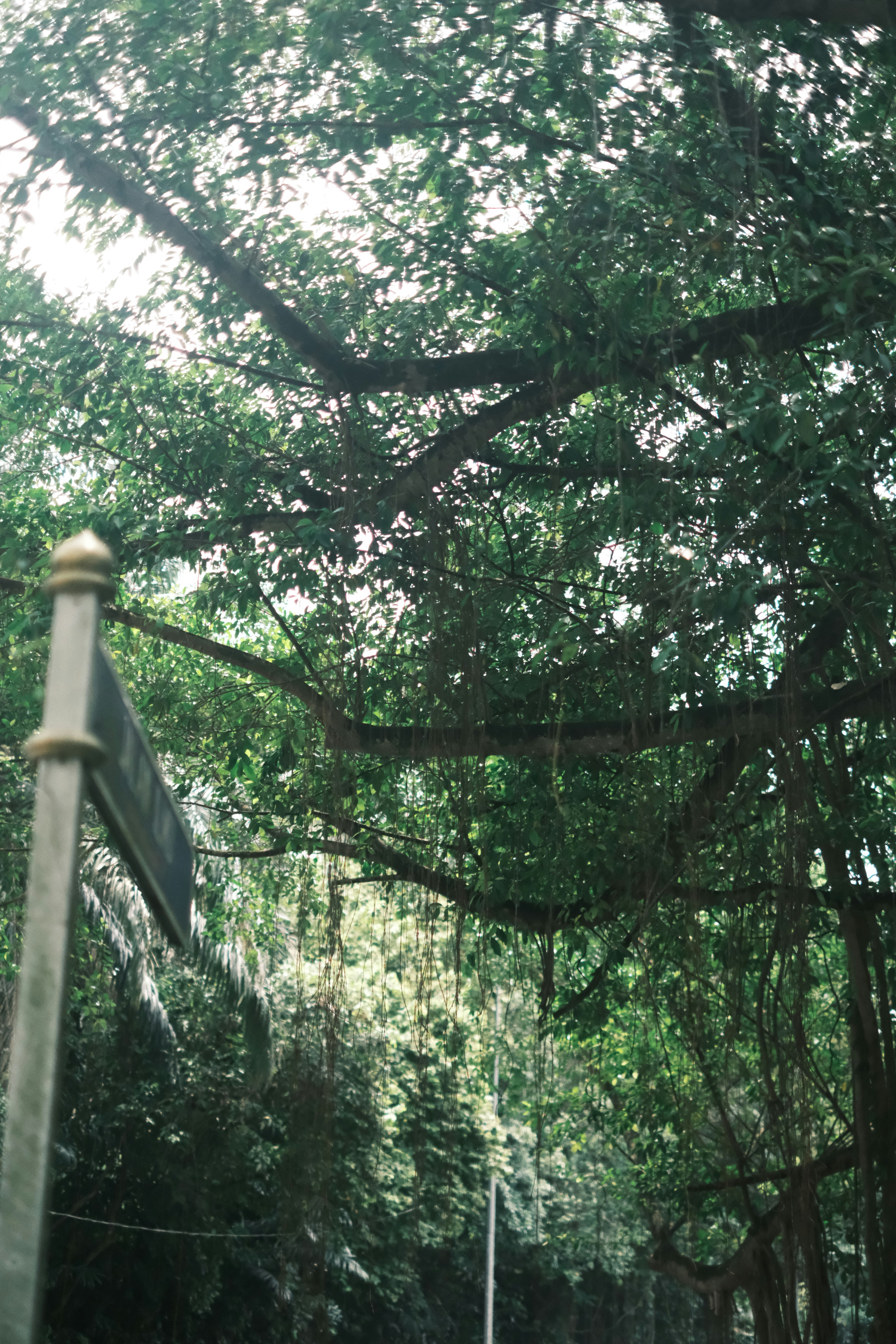 Photo by subspace_stills