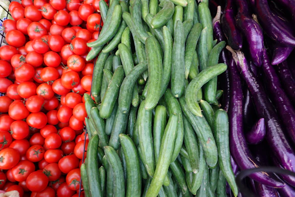 A variety of vegetables are arranged in a row