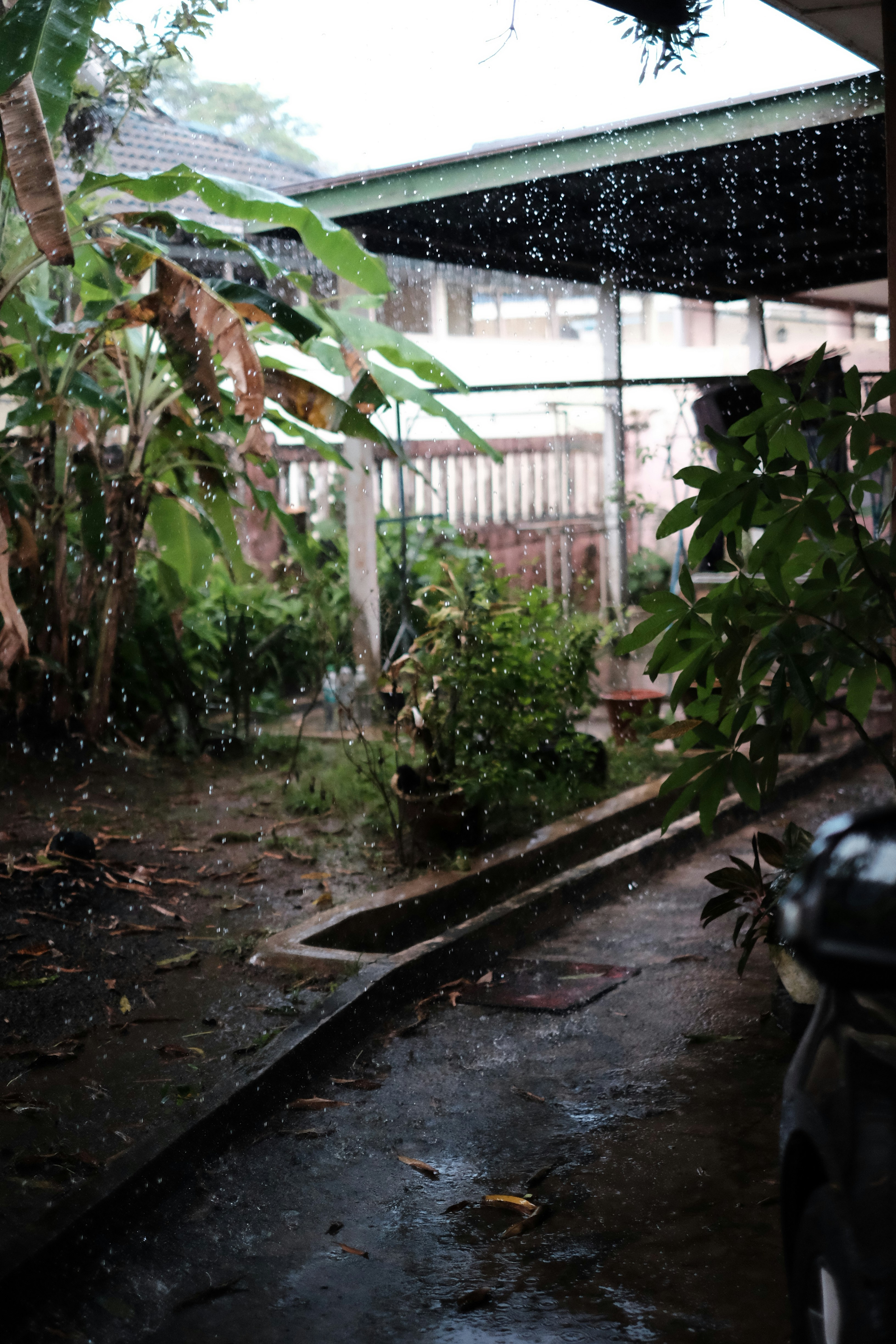 Photo by subspace_stills