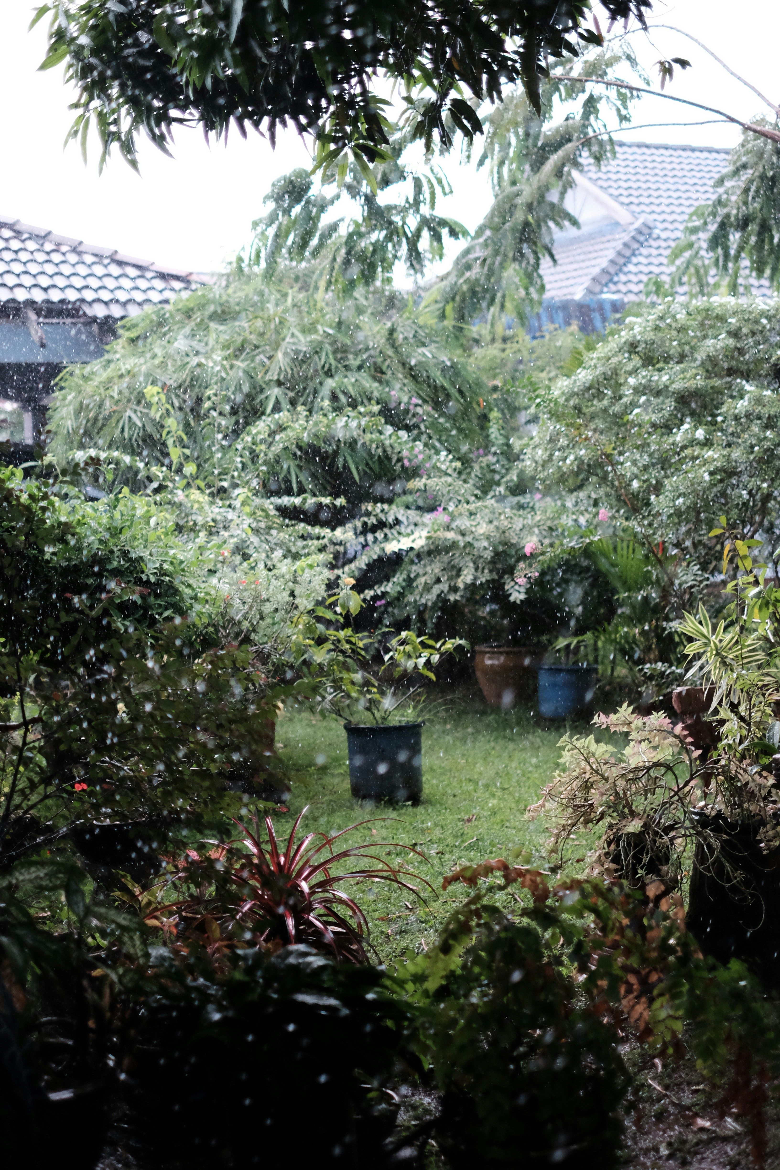 Photo by subspace_stills