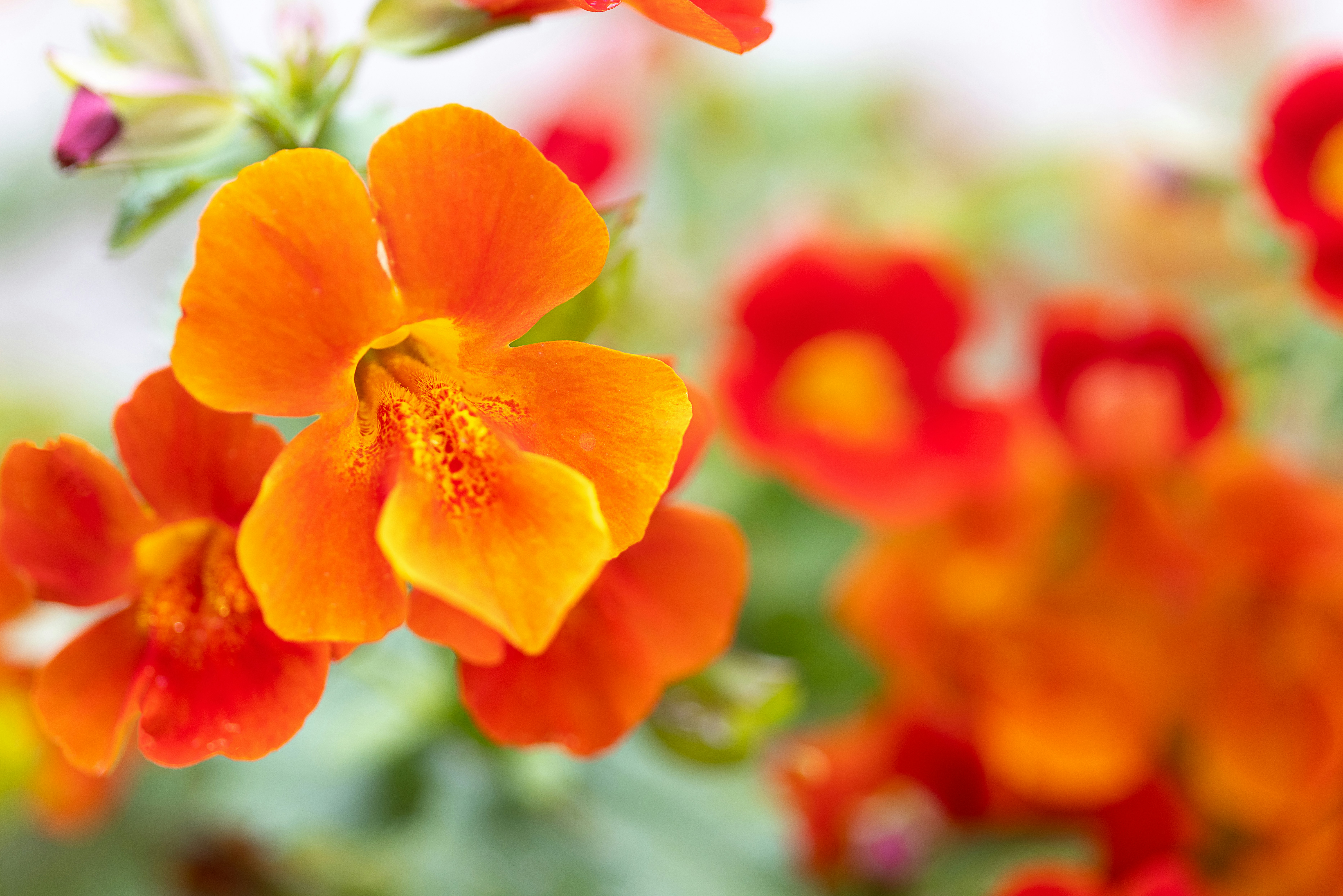 Photo by nataliekinnear