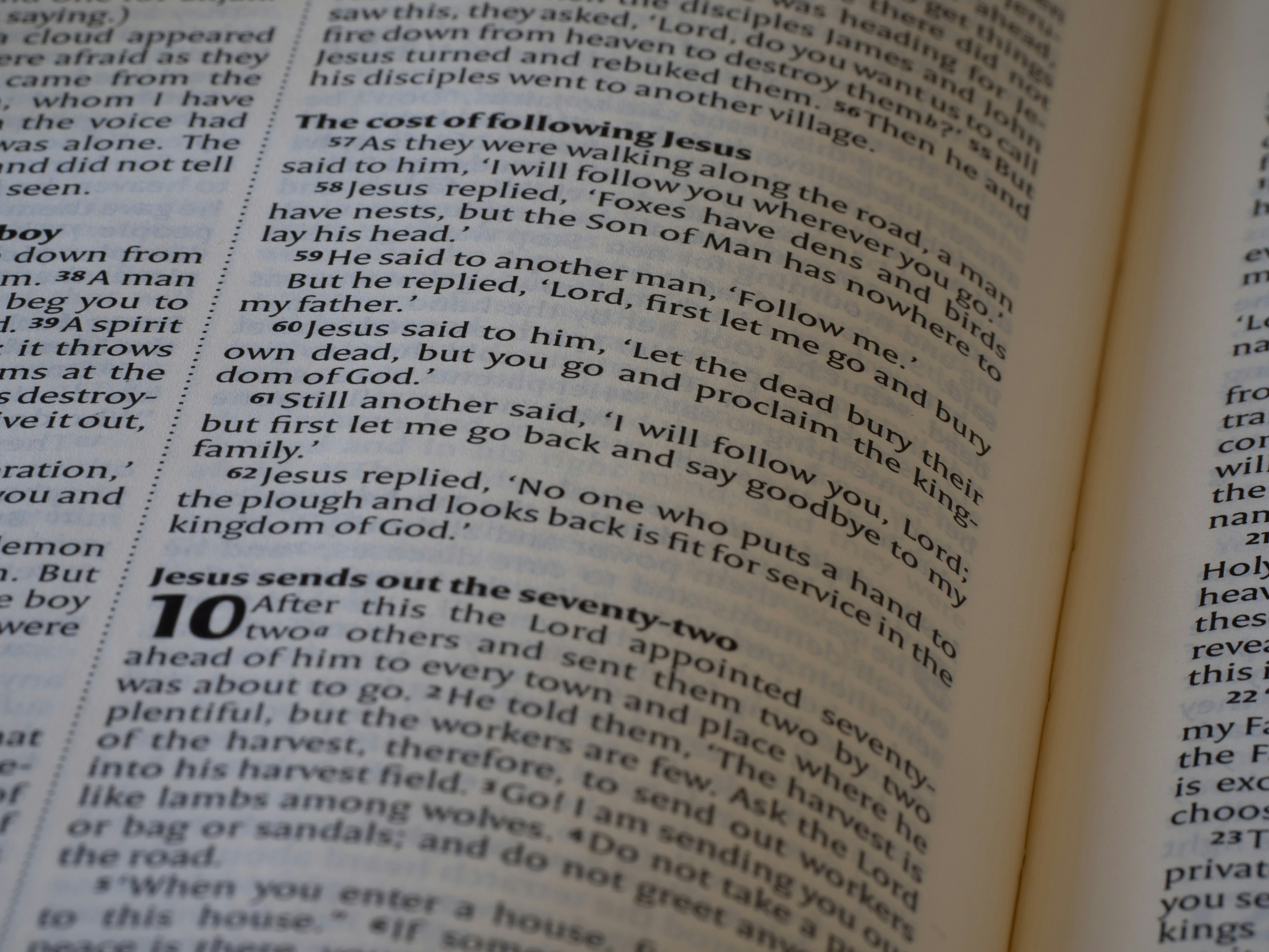 Photo by brett_jordan