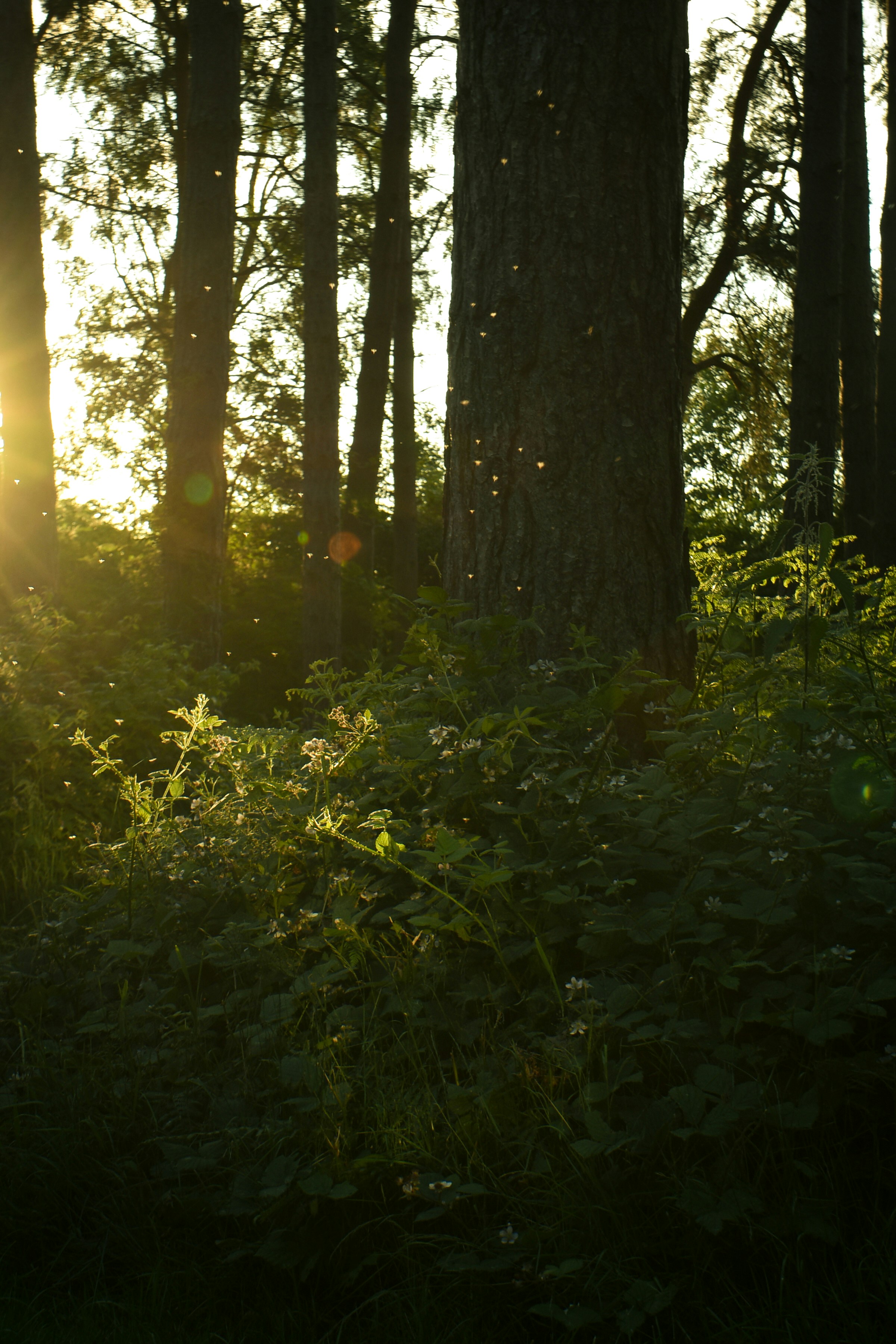 Photo by julia_fiander