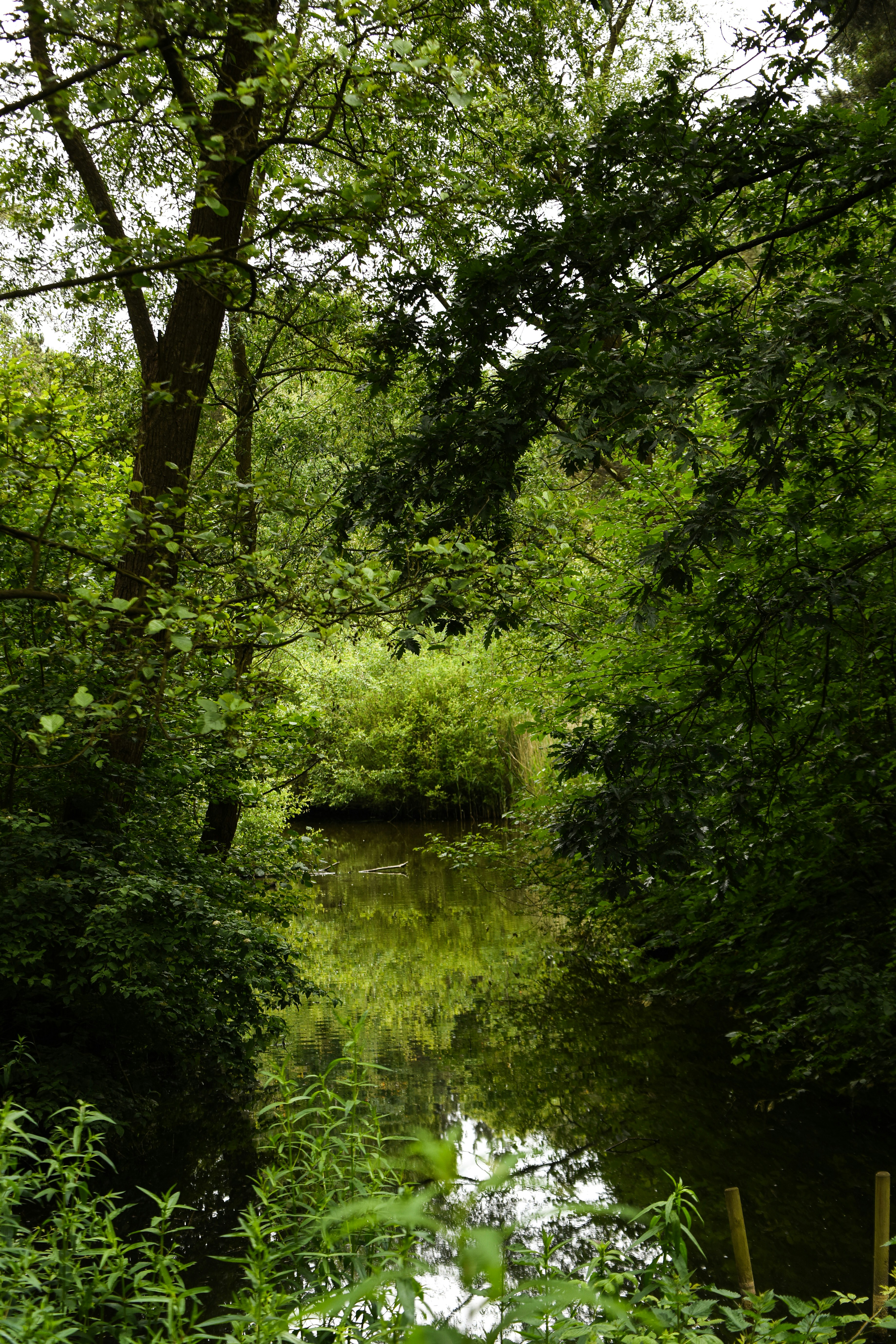 Photo by julia_fiander