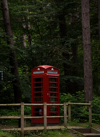 A red phone booth sitting in the middle of a forest