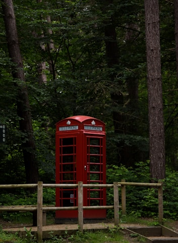 A red phone booth sitting in the middle of a forest