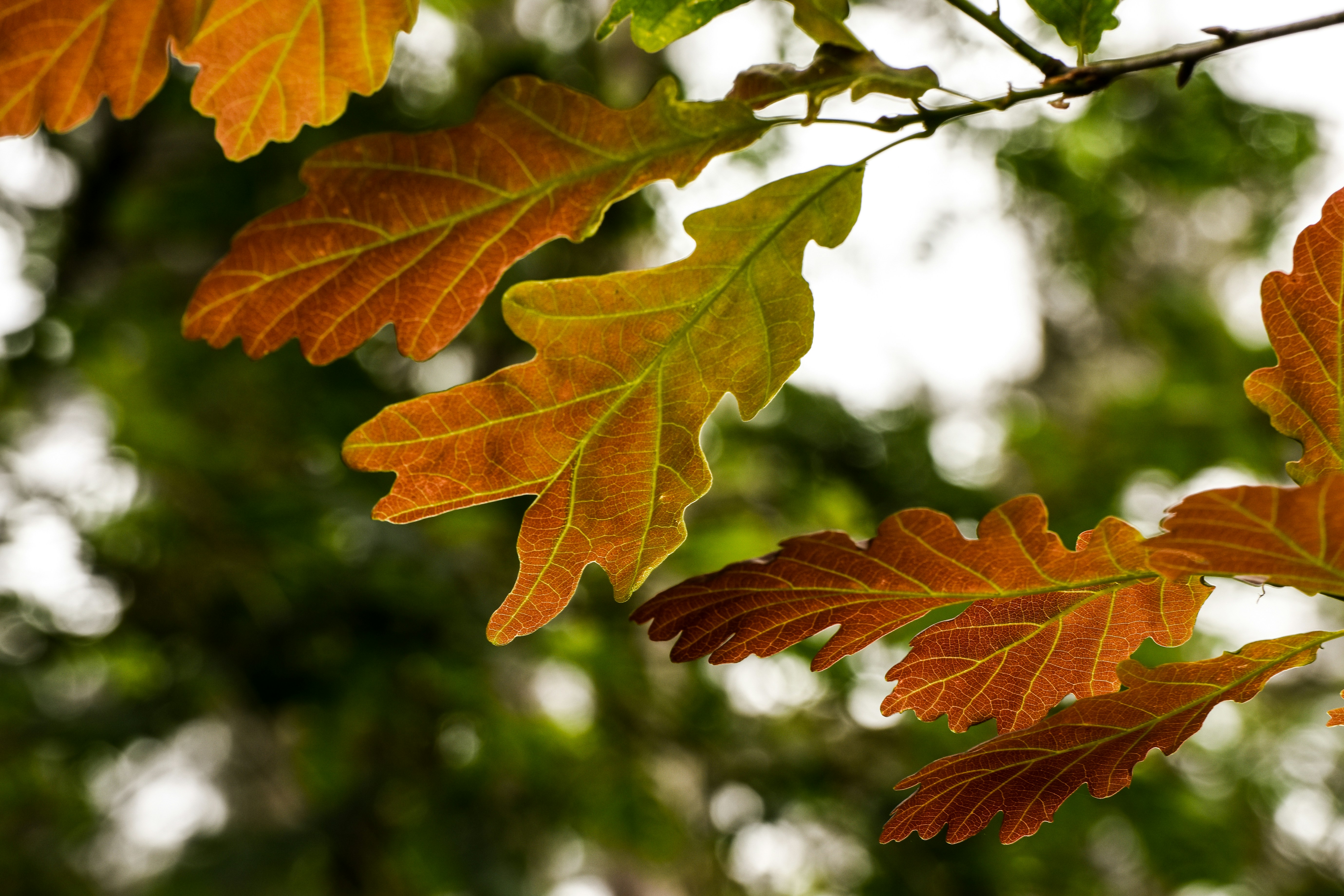 Photo by julia_fiander