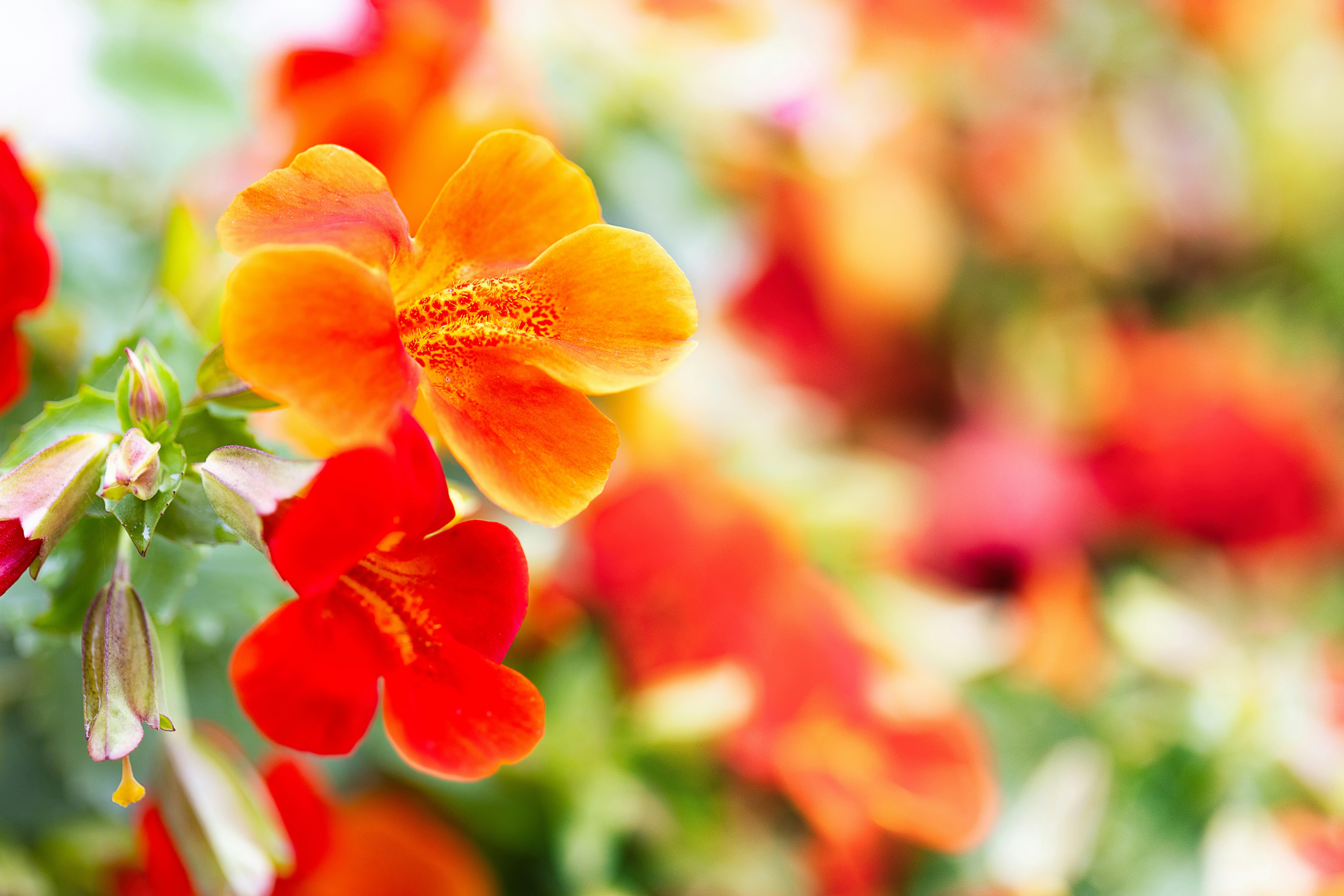 Photo by nataliekinnear