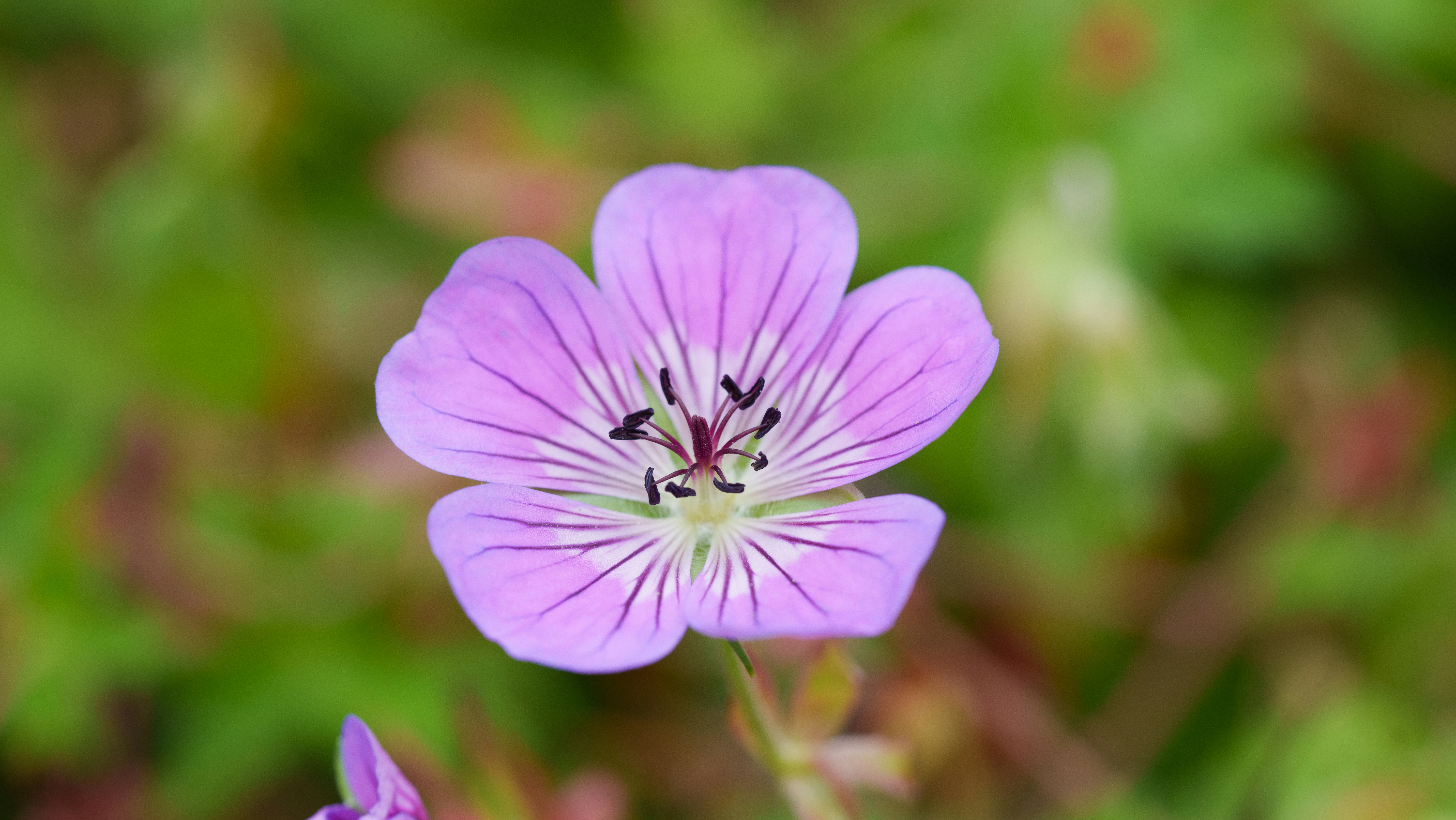 Photo by ameefairbankbrown