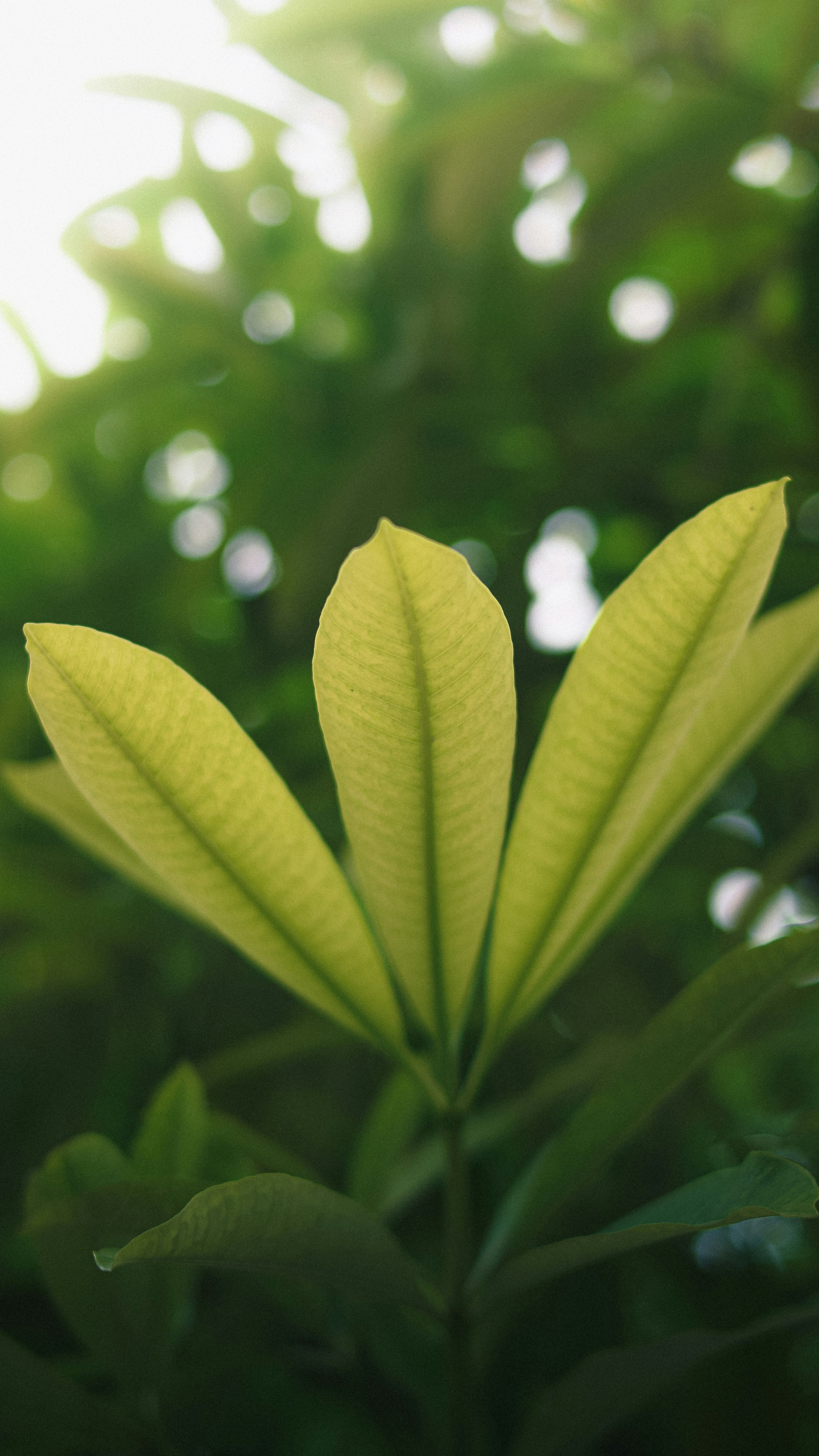 Photo by pixelbyzaki