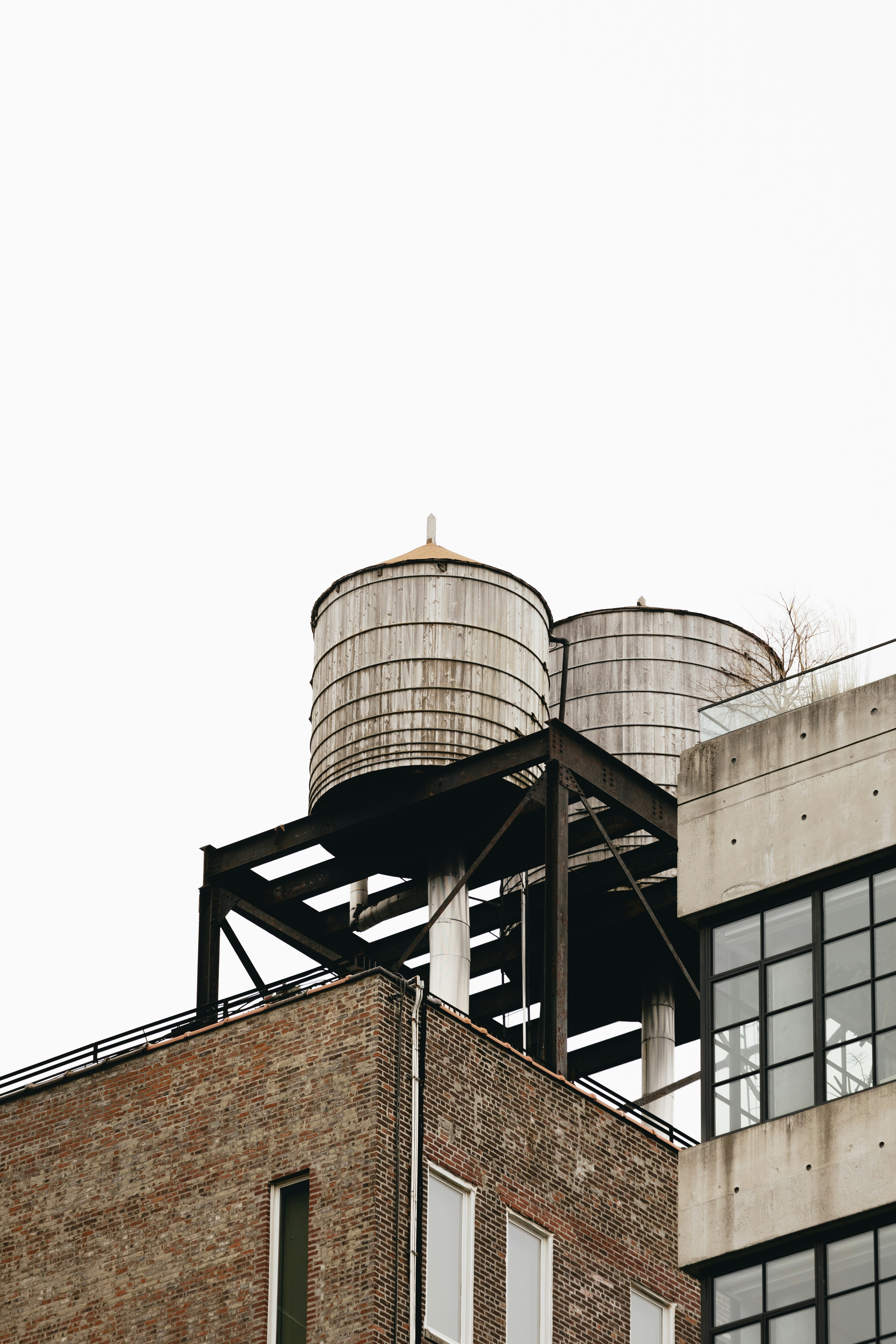 Photo by timowielink
