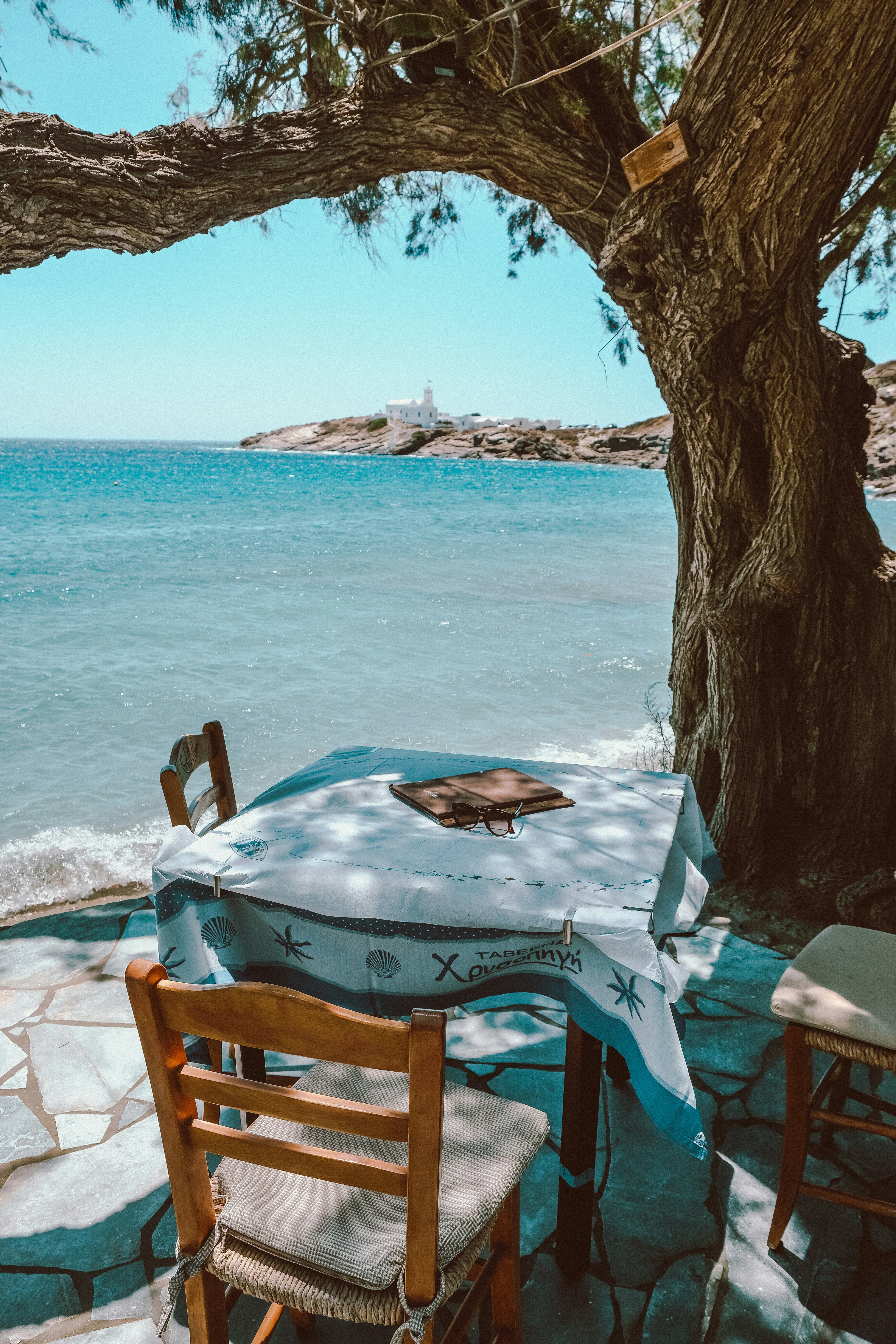 A table and chairs under a tree near the water