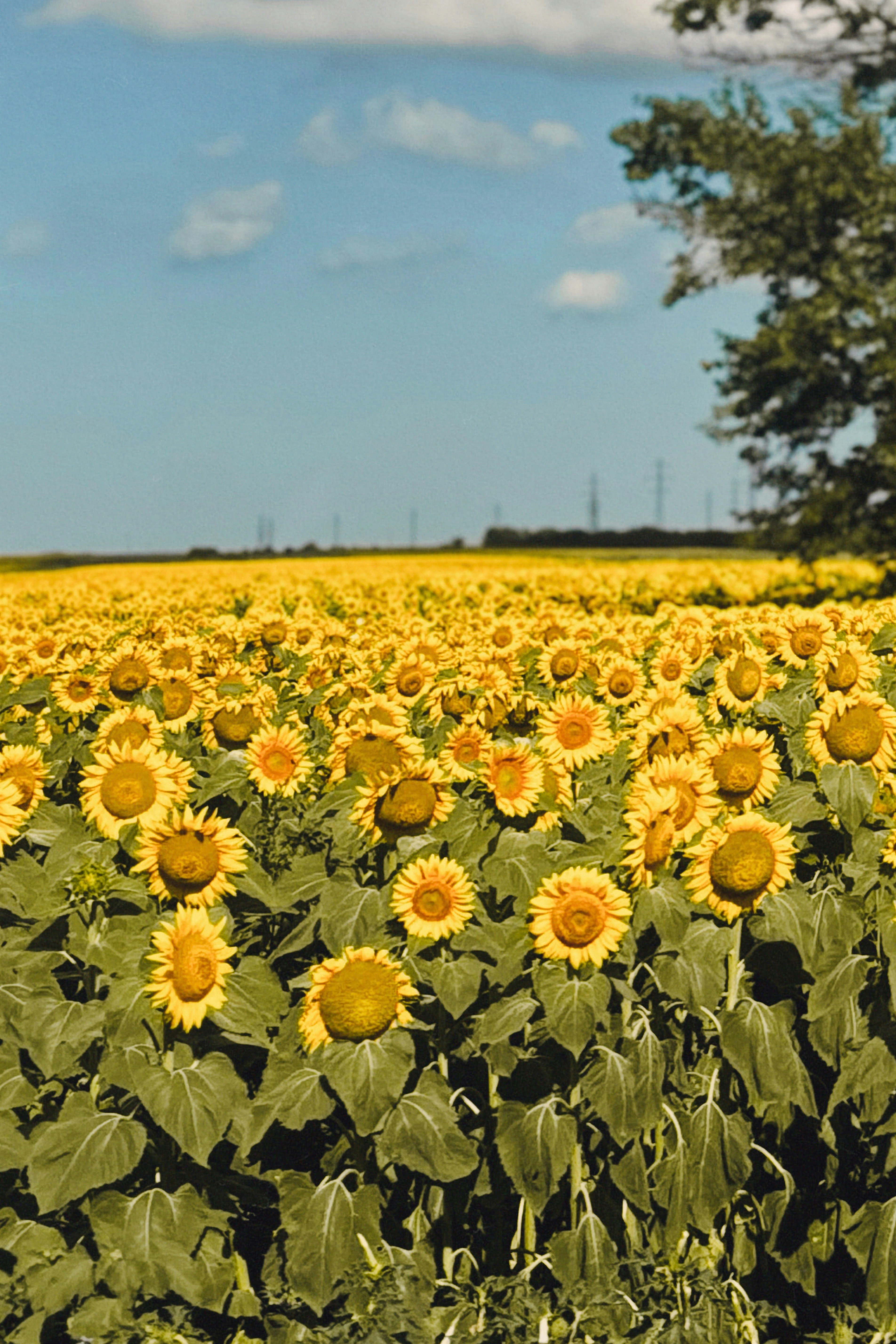 Photo by alexandraandrone