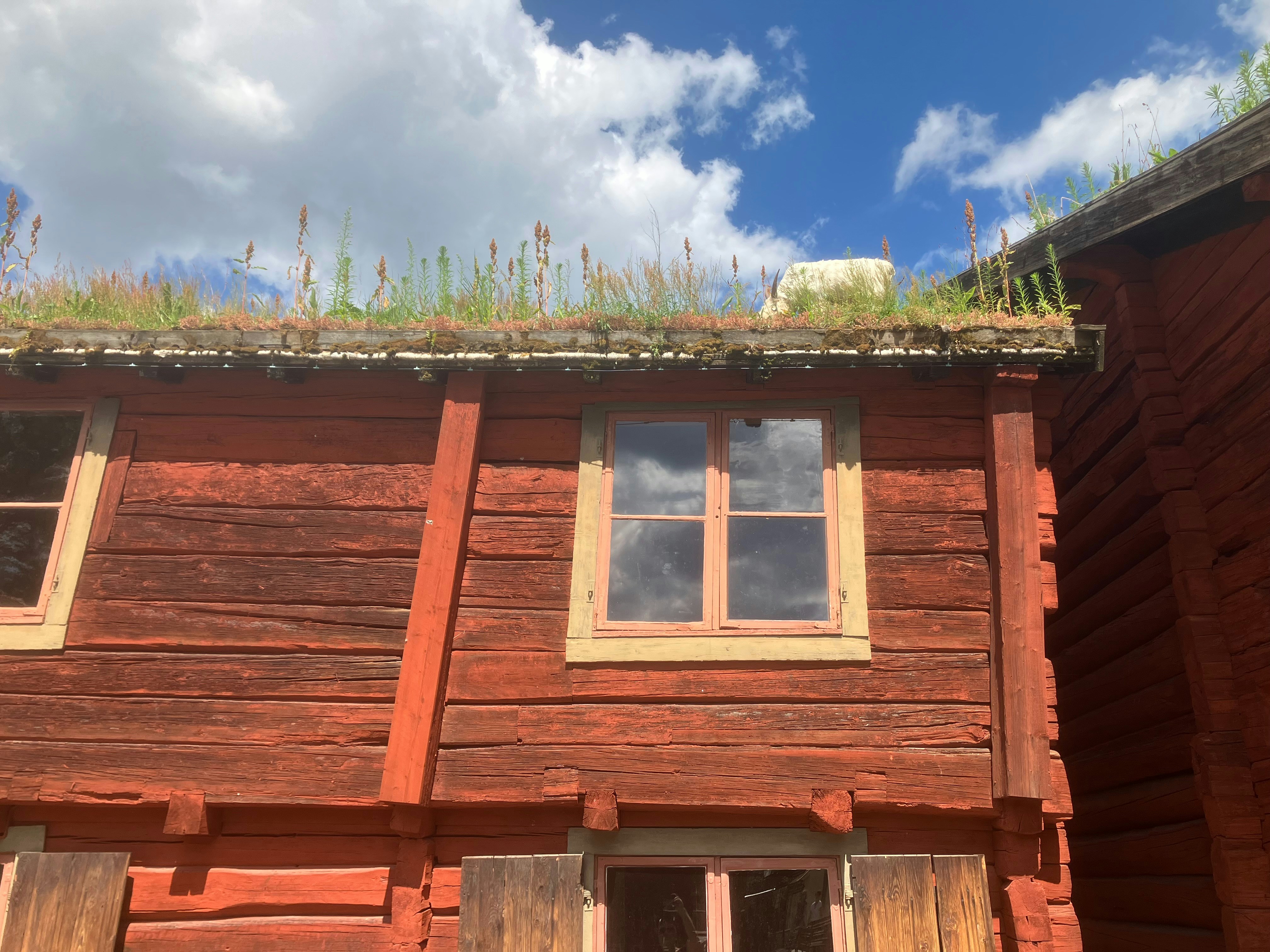 A wooden house with a green roof and windows