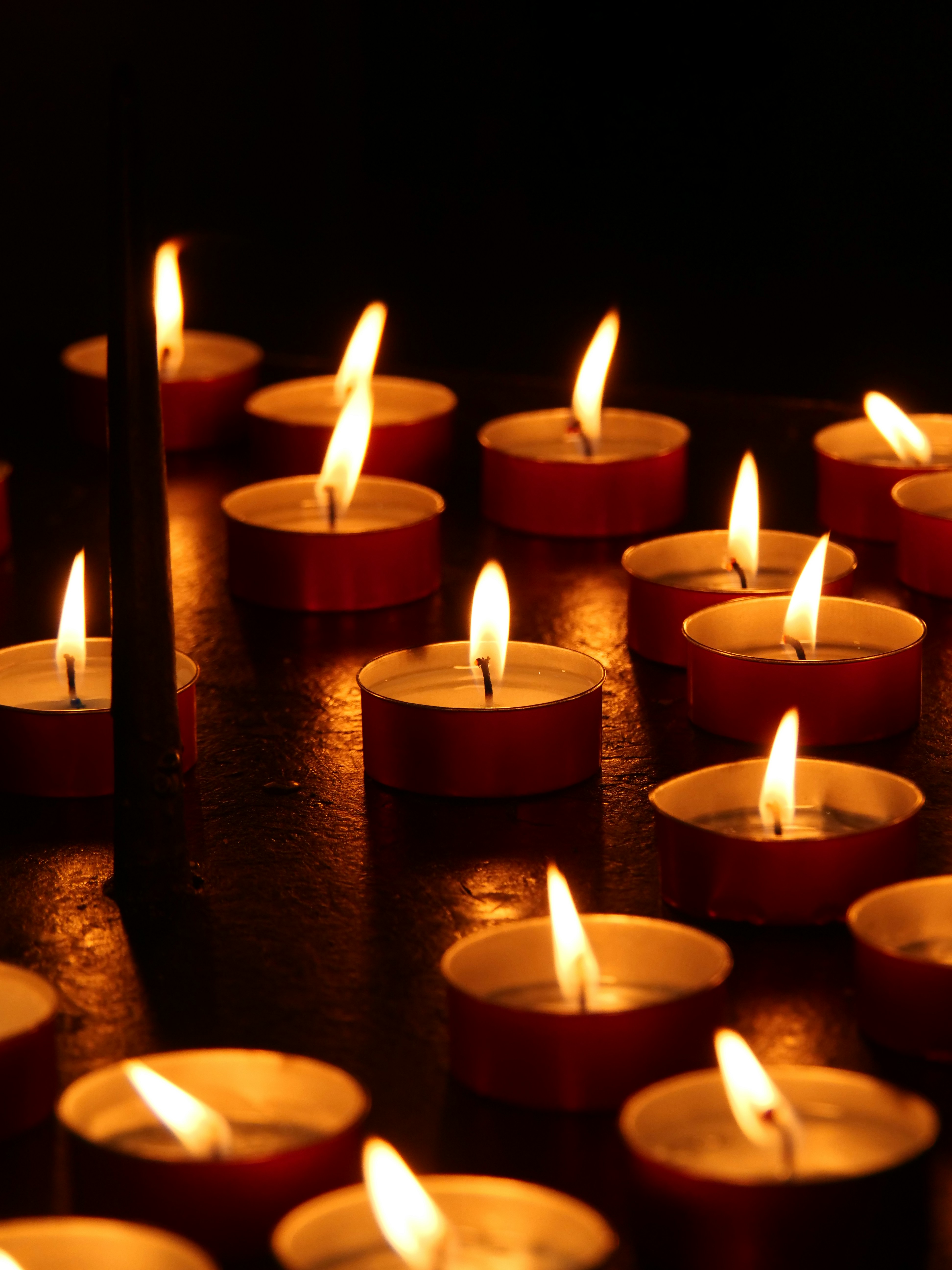 Photo by nimbus_vulpis