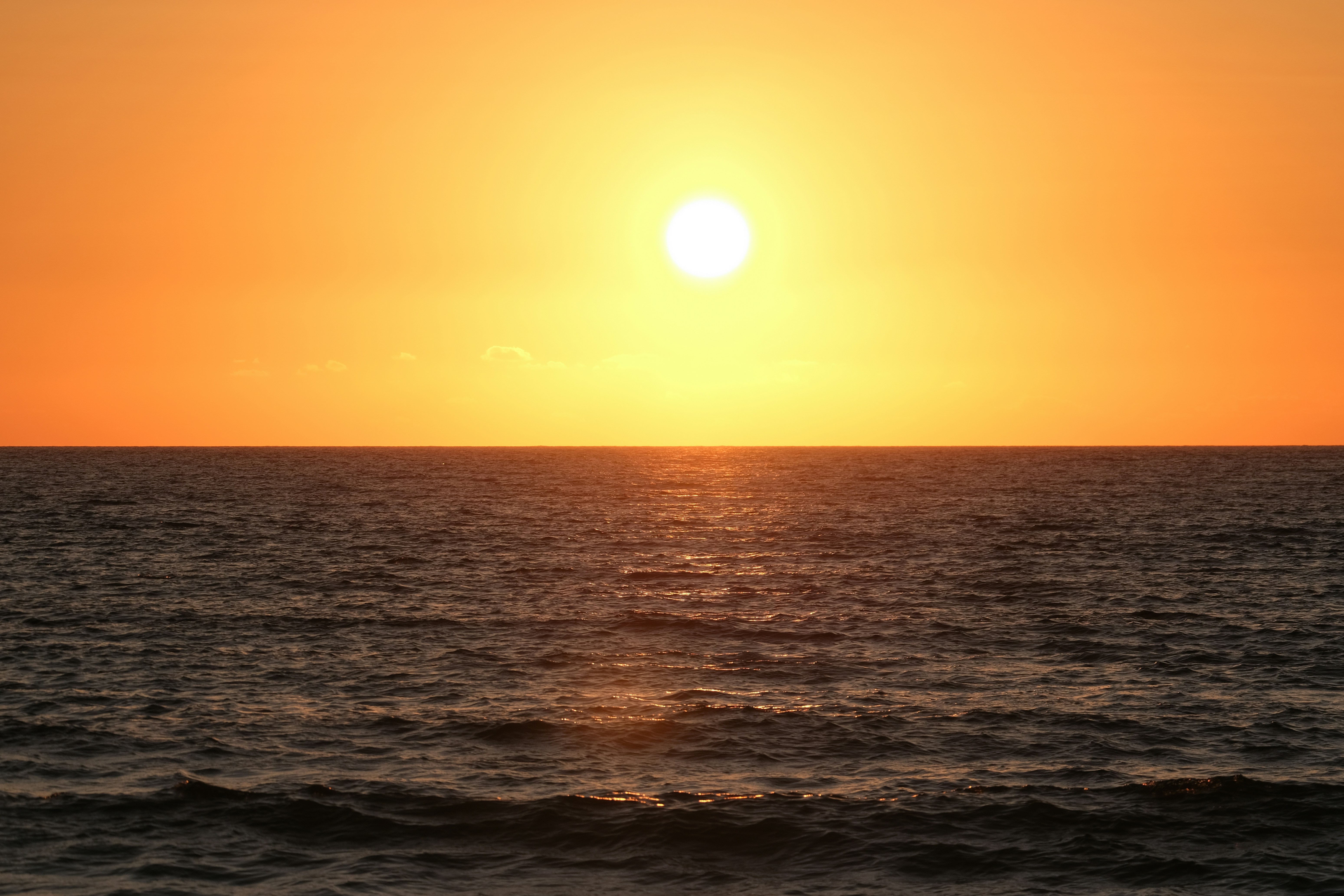 Photo by francesco_ungaro