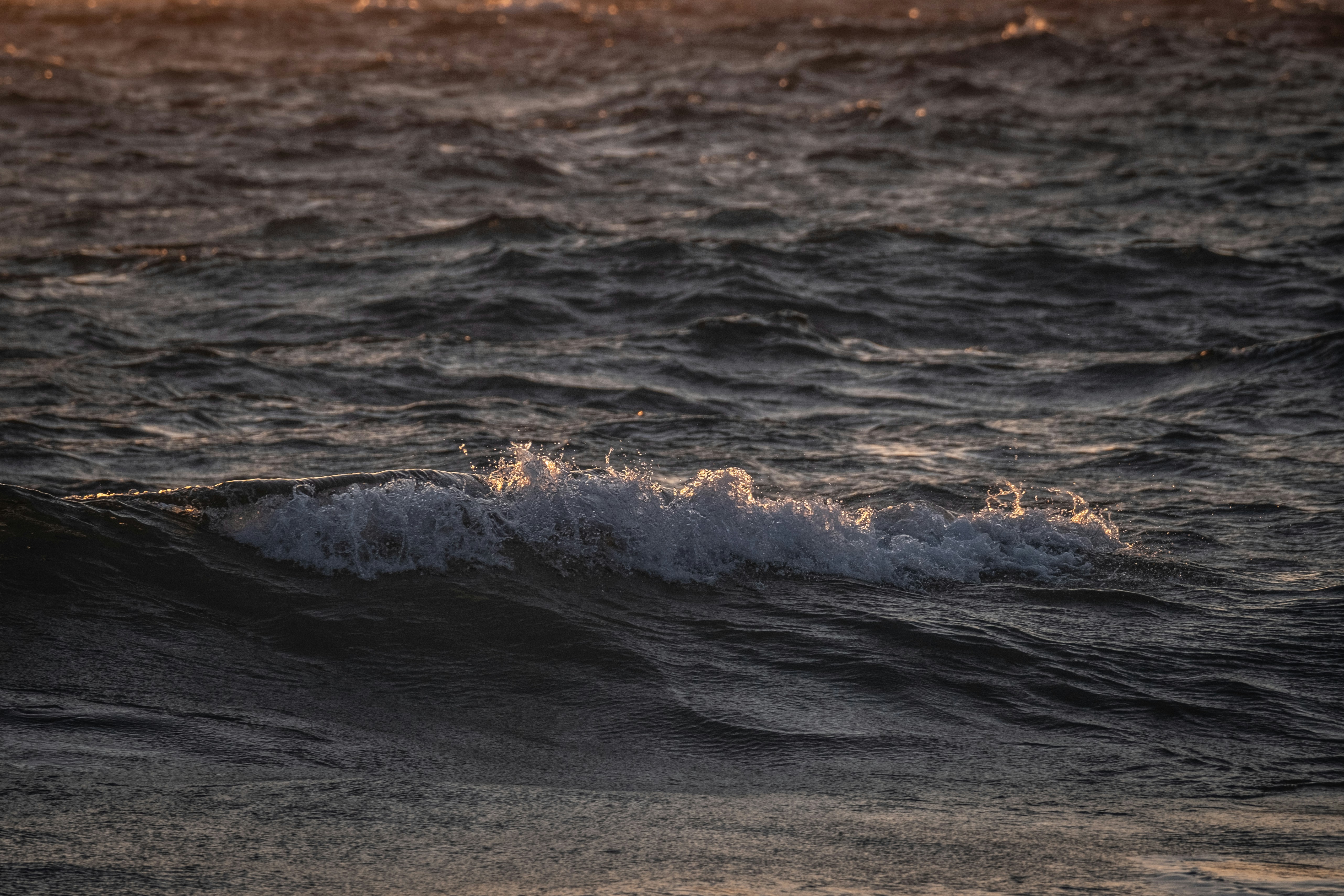 Photo by francesco_ungaro