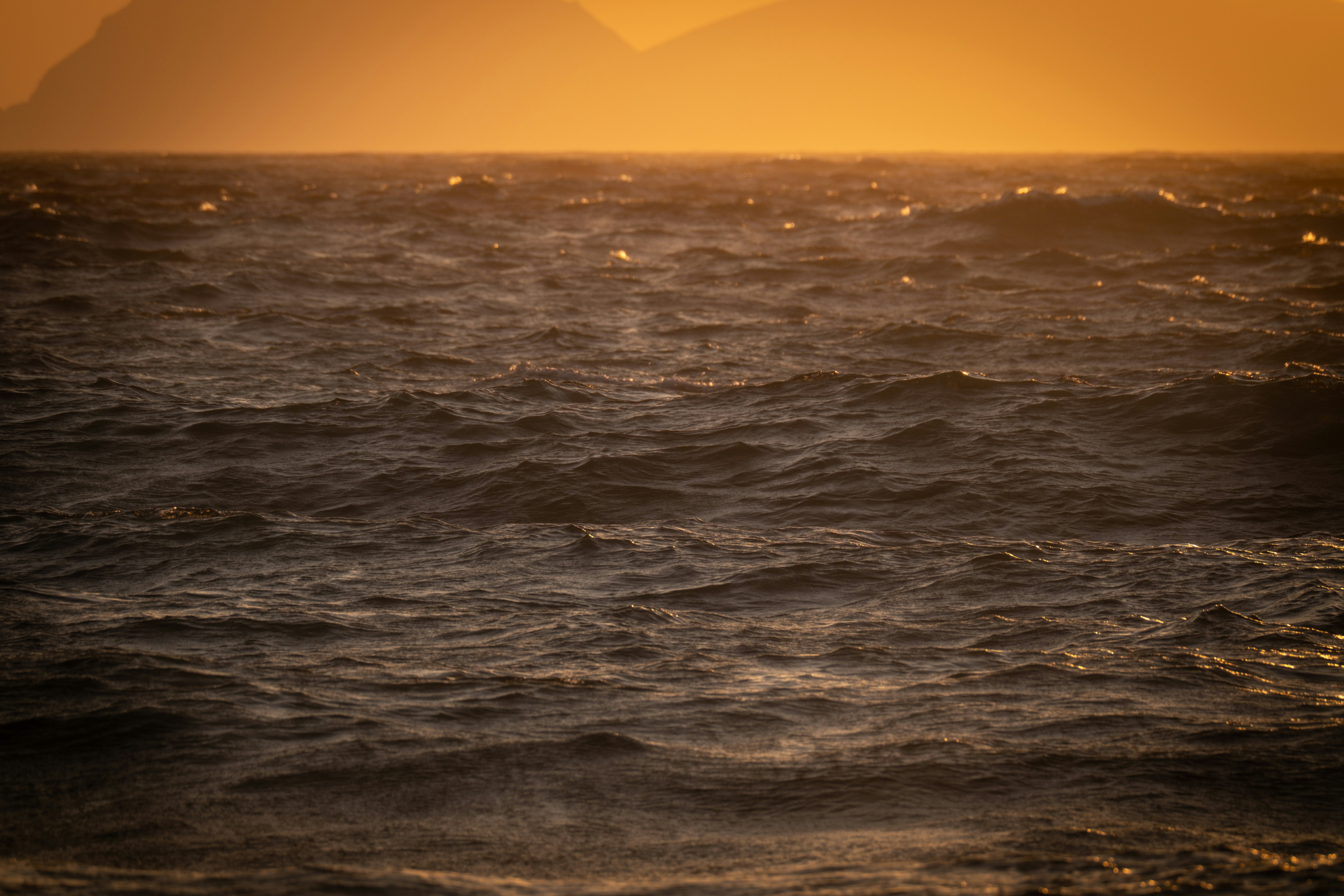 Photo by francesco_ungaro