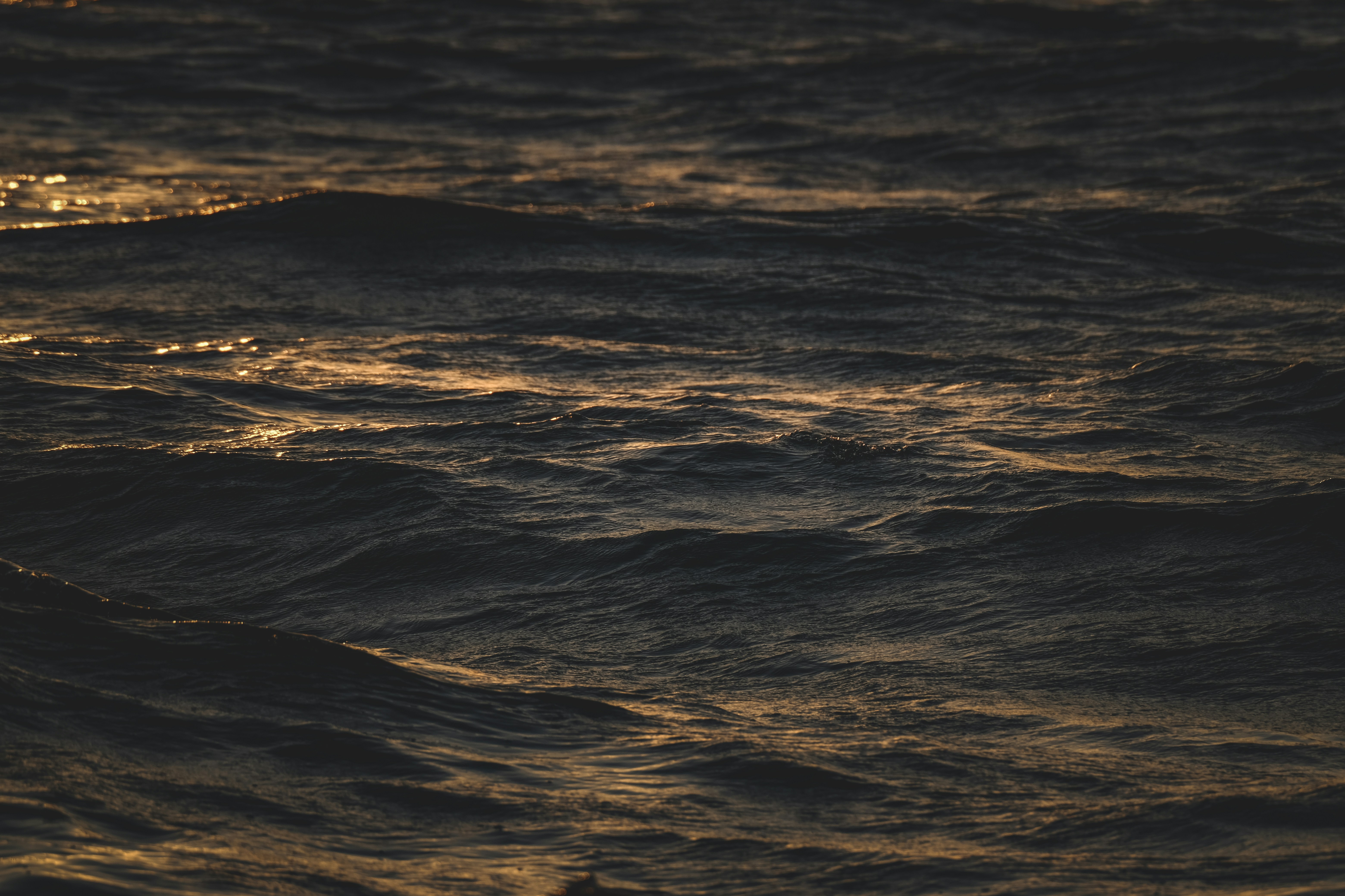 Photo by francesco_ungaro