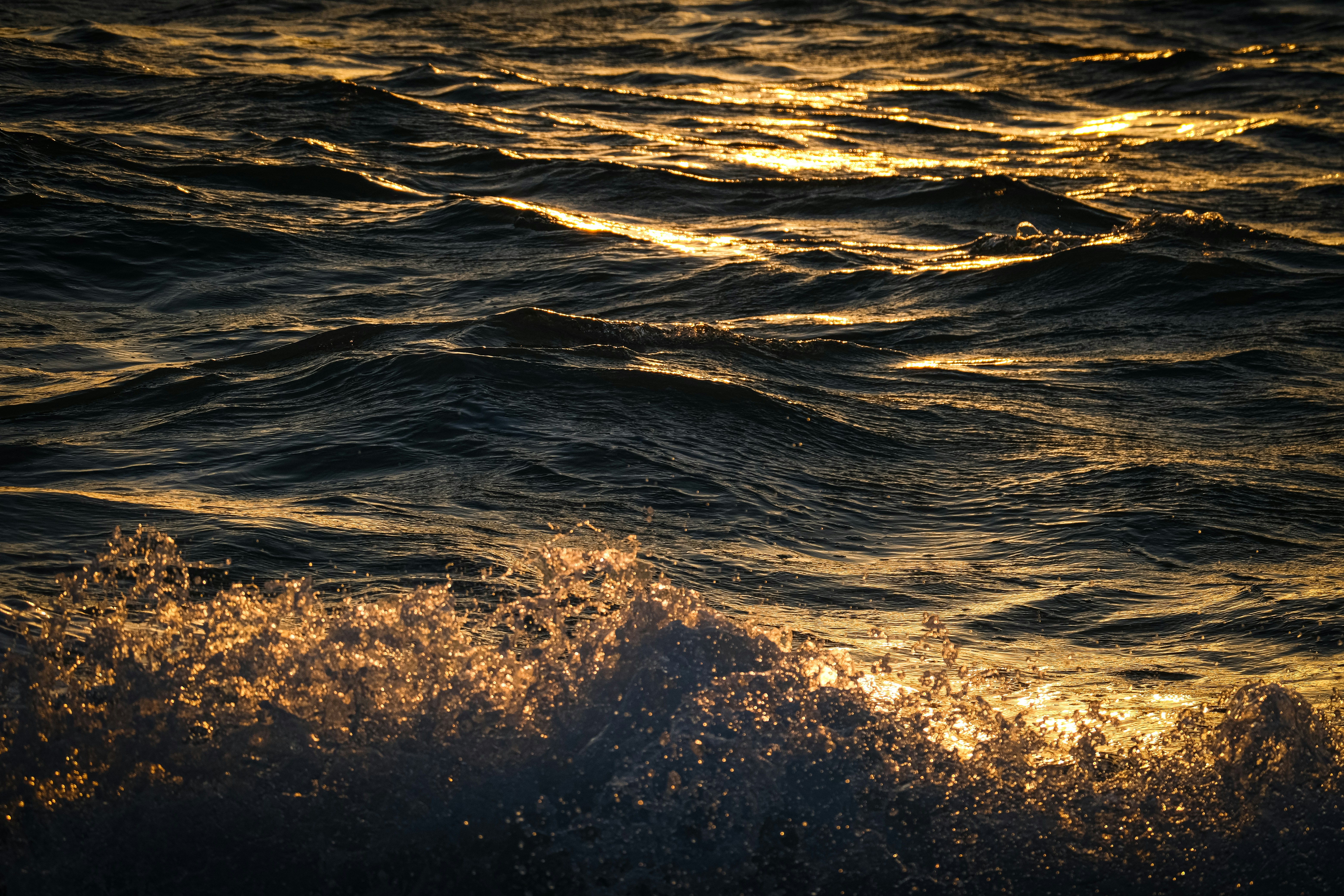 Photo by francesco_ungaro