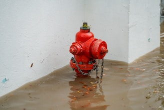 A red fire hydrant in a flooded area