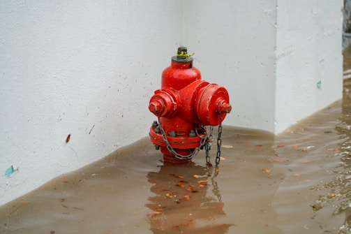 A red fire hydrant in a flooded area
