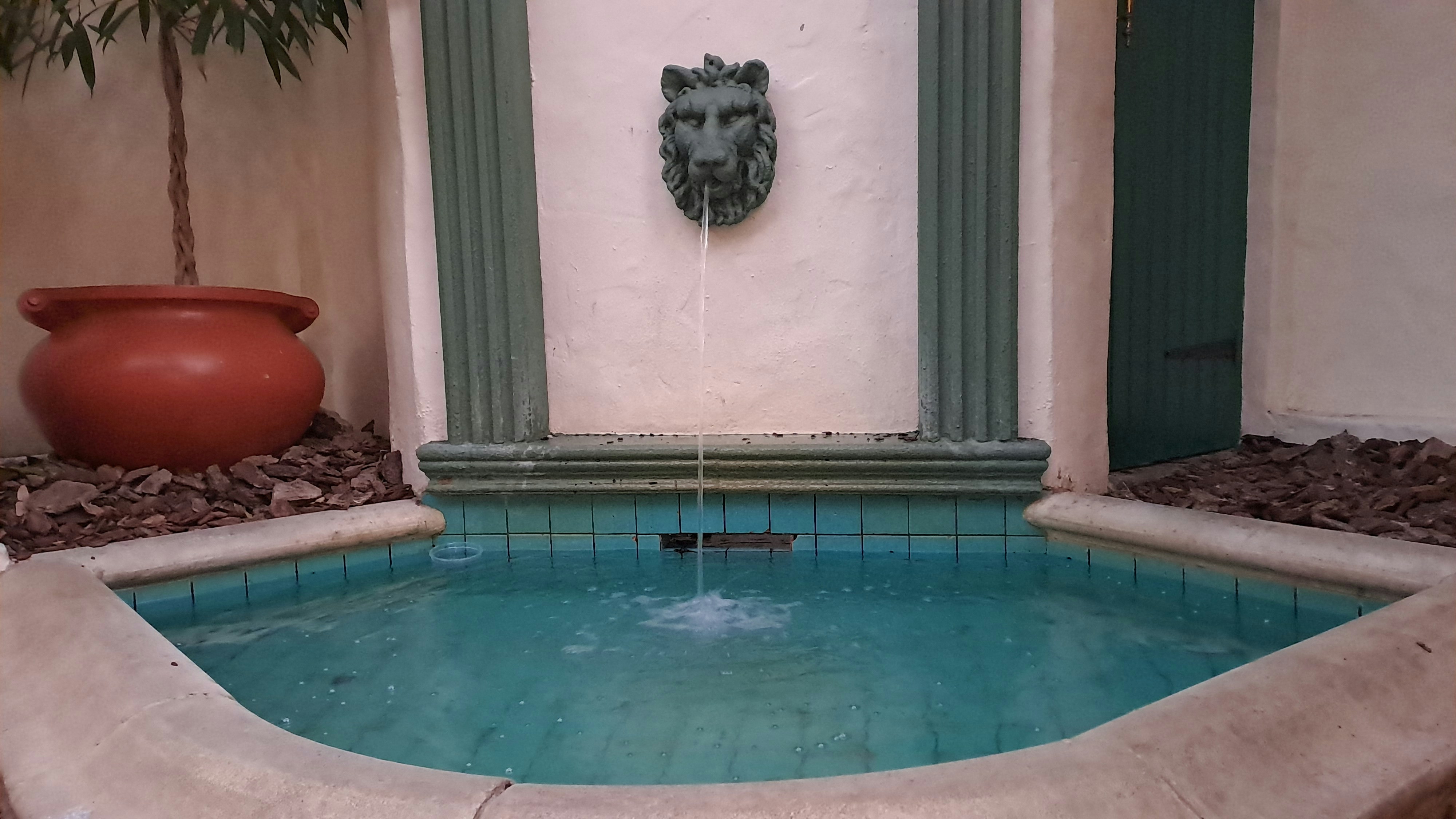 Fountain with face on side