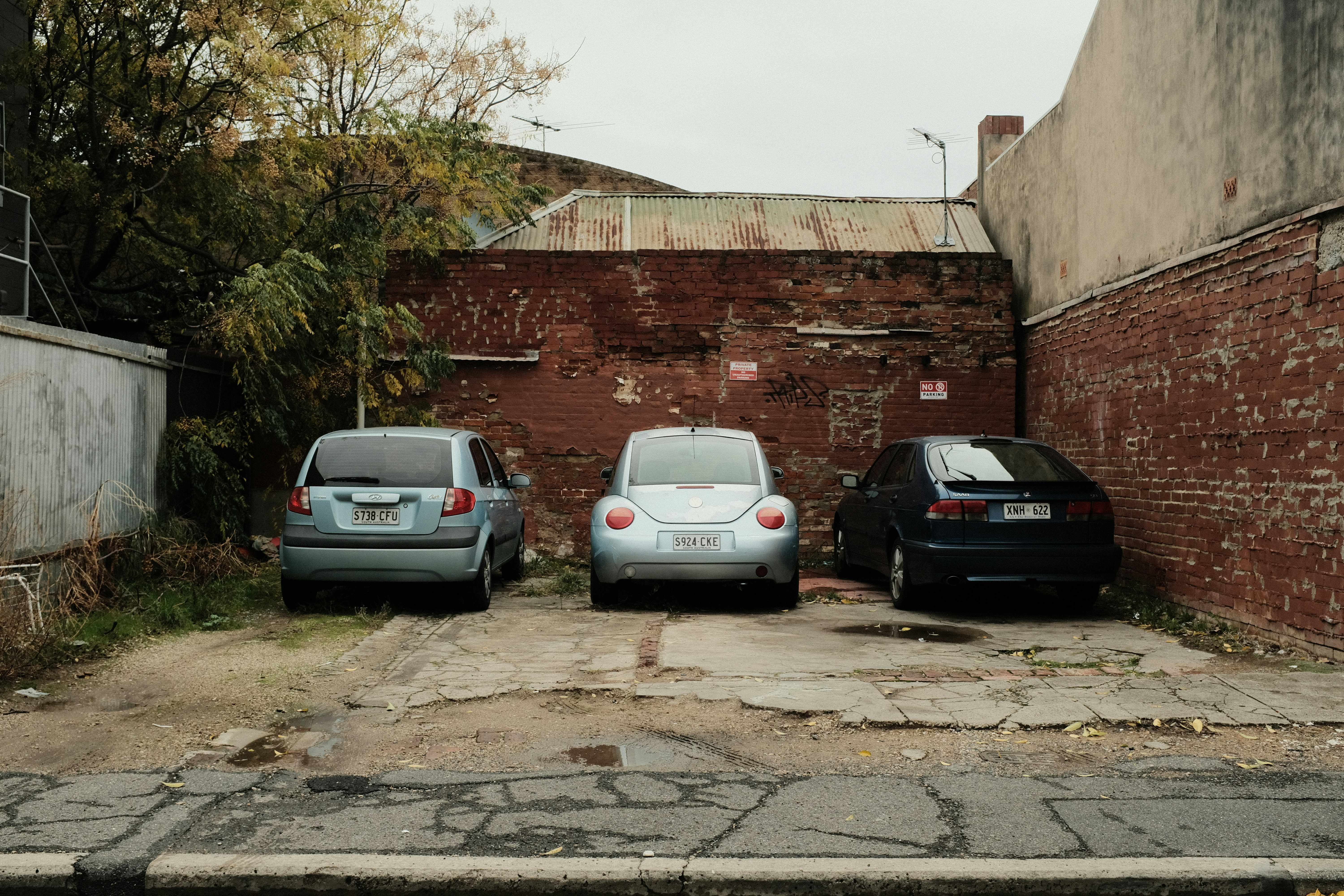 Row of used compact SUVs lined up on a dealer lot