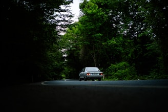 A car driving down a road surrounded by trees