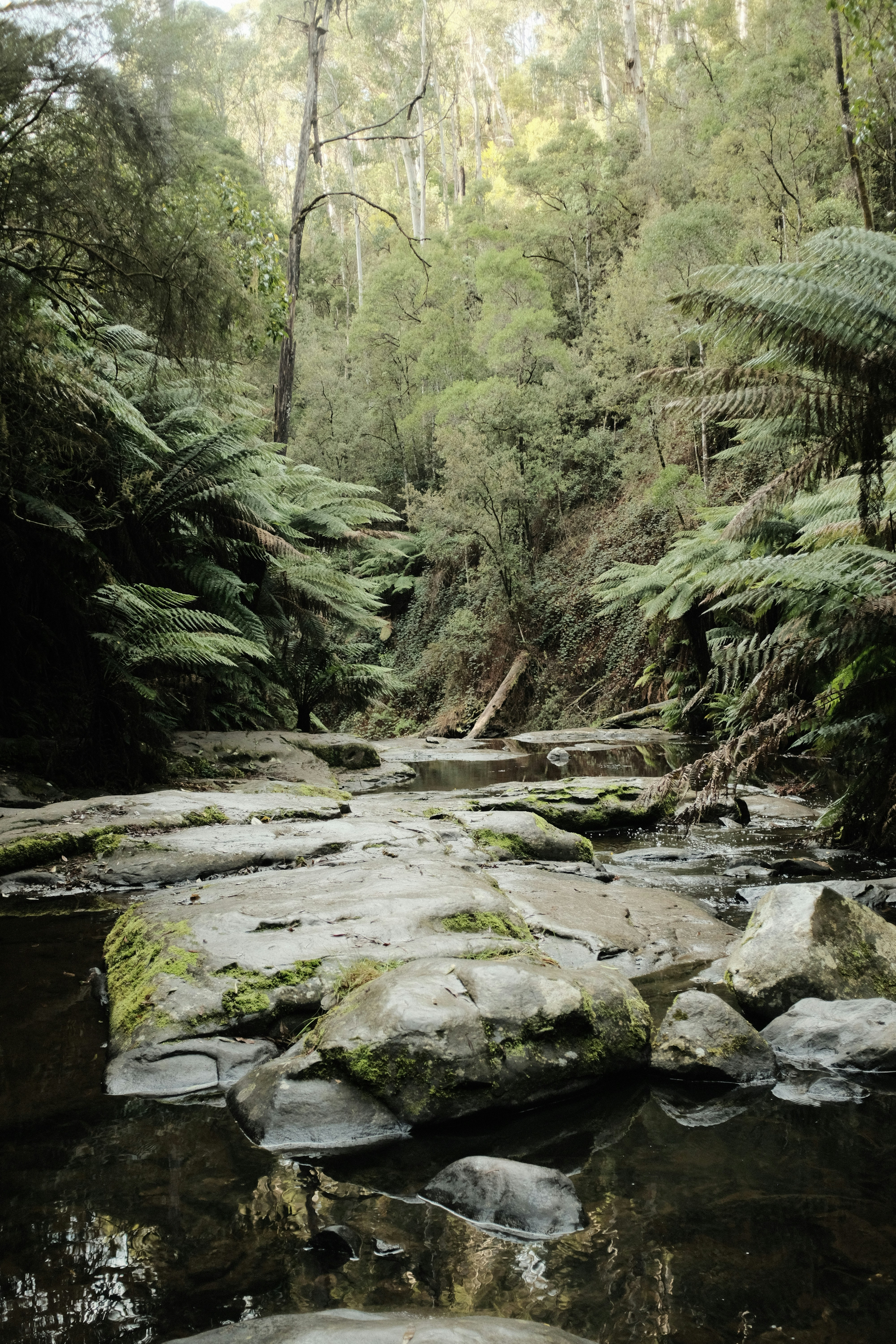 Photo by ninjaflyingcow