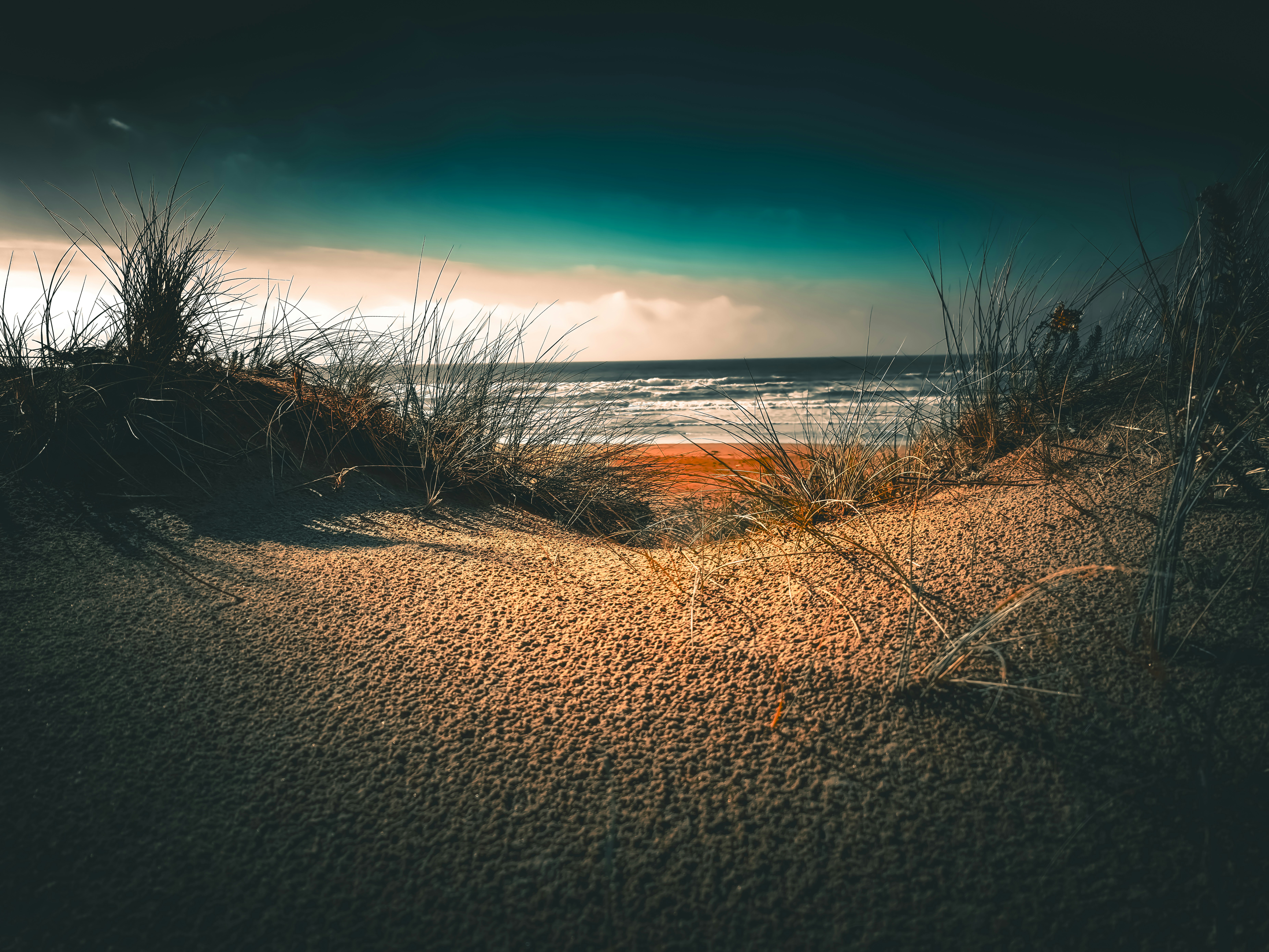 Photo by bizzyspace_images